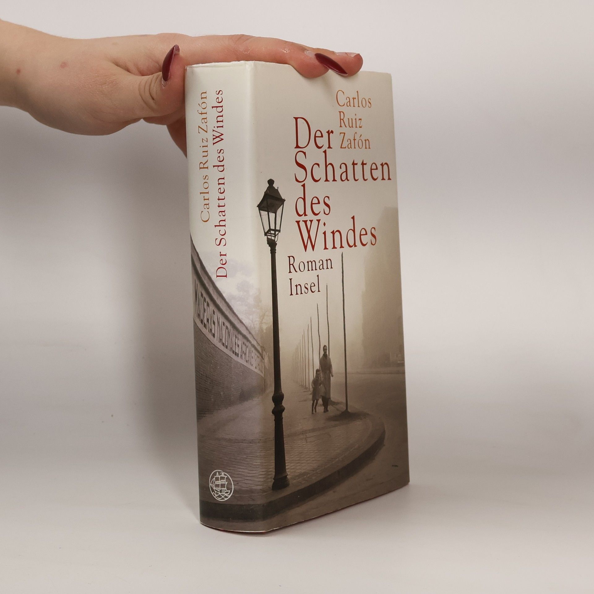 Carlos Ruiz Safon Der Schatten des Windes