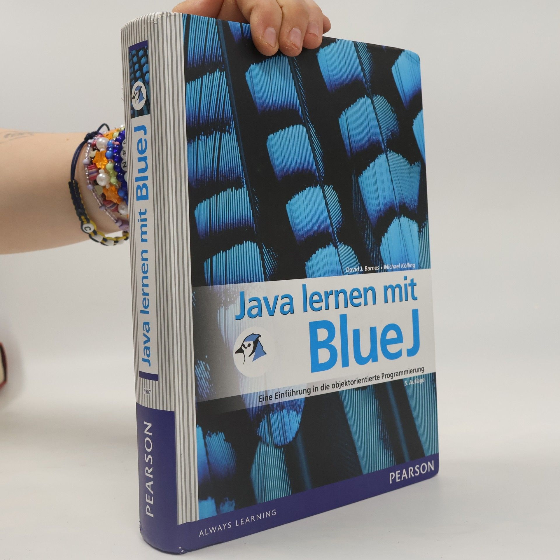 David J. Barnes Java lernen mit BlueJ
