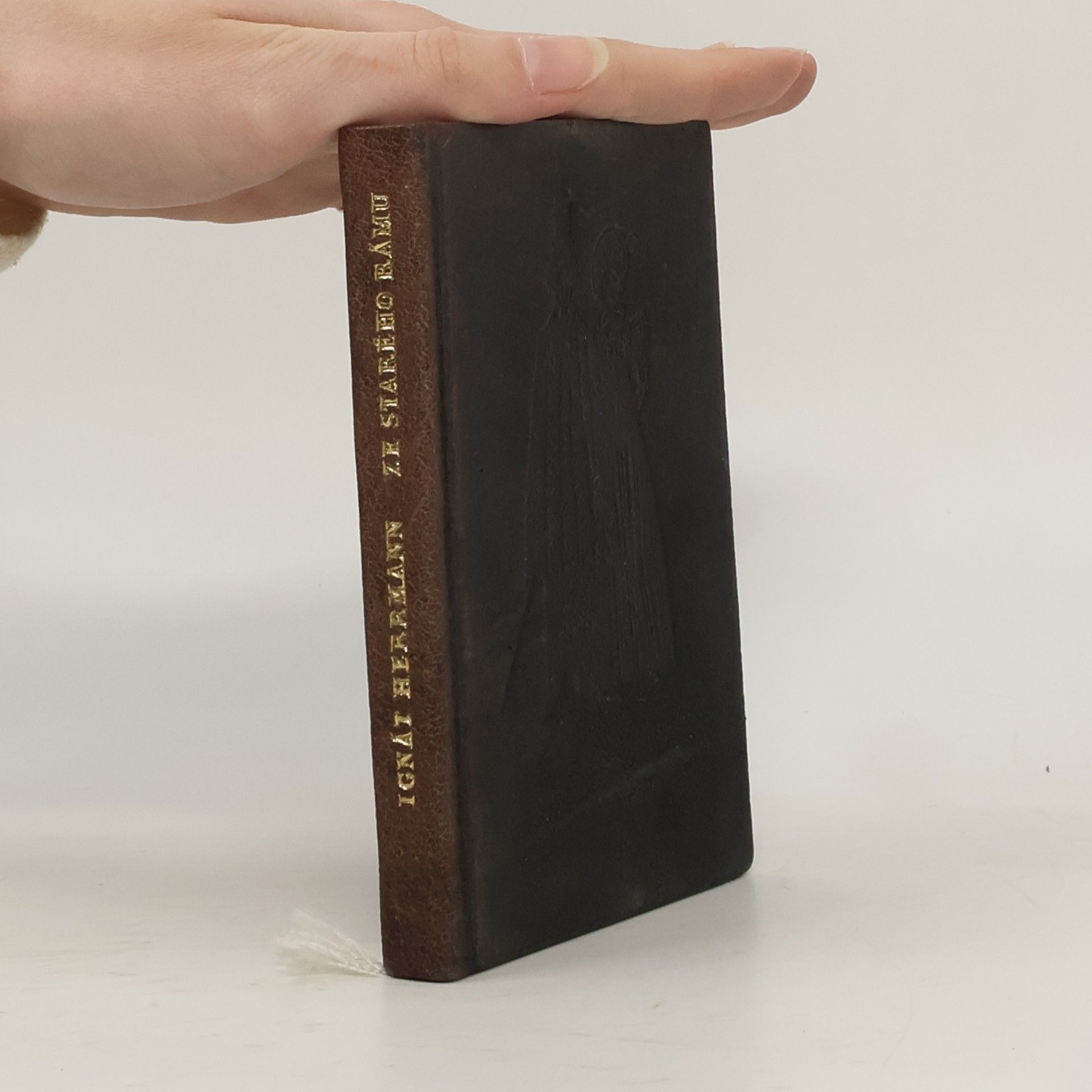 Ignát Herrmann Ze starého rámu