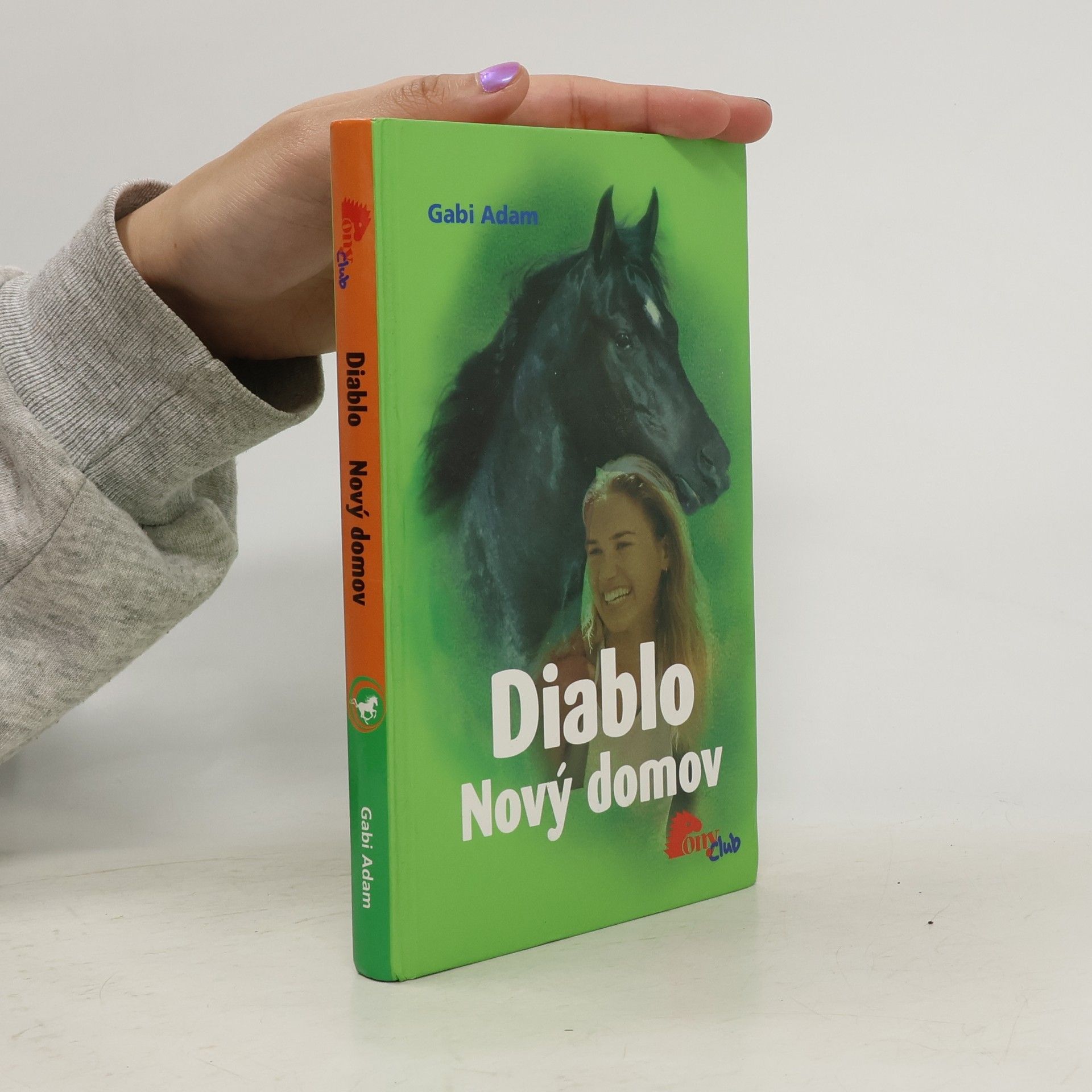 Gabi Adam Nový domov. Diablo 3