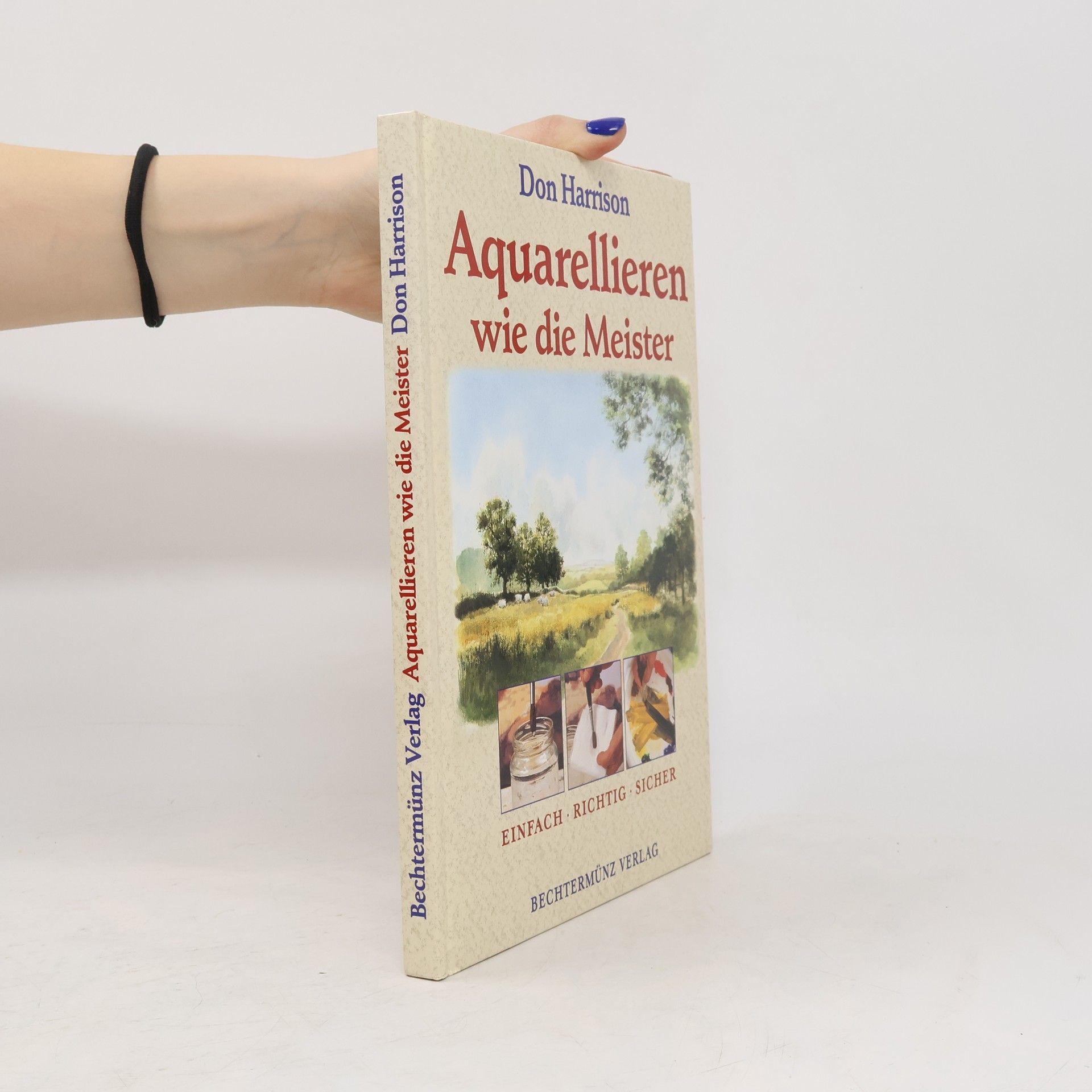 Don Harrison Aquarellieren wie die Meister