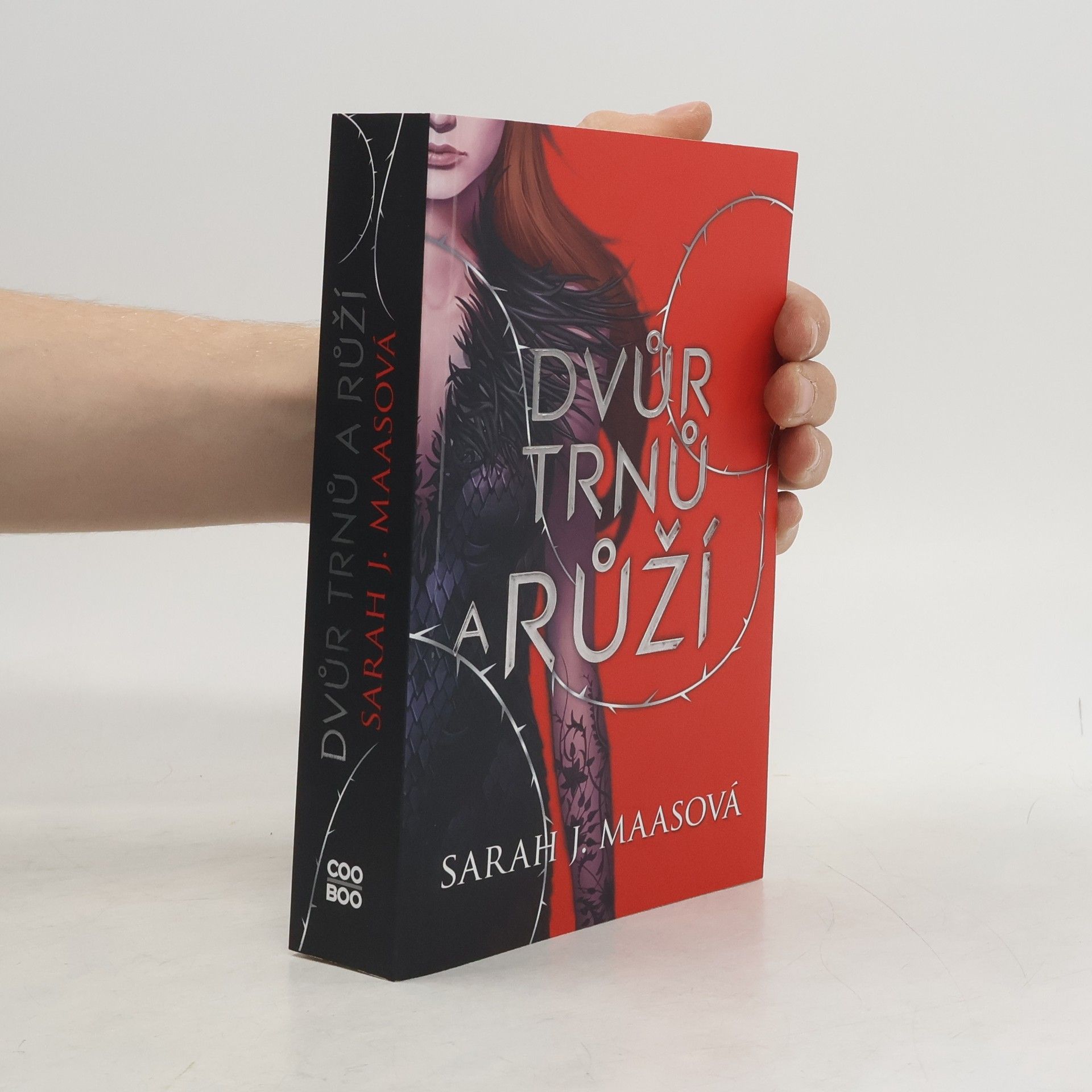 Sarah J. Maas Dvůr trnů a růží