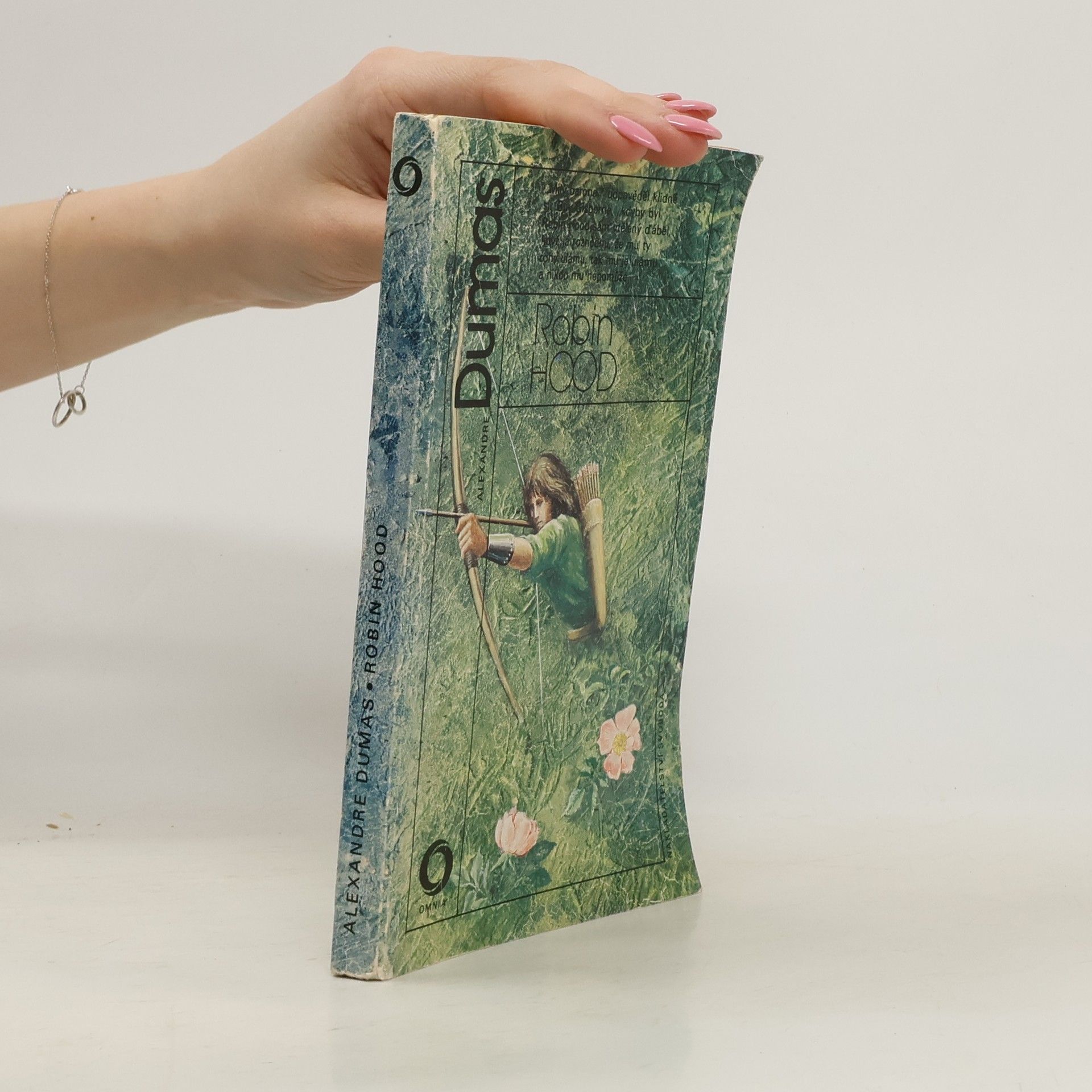 Alexandre Dumas starší Robin Hood