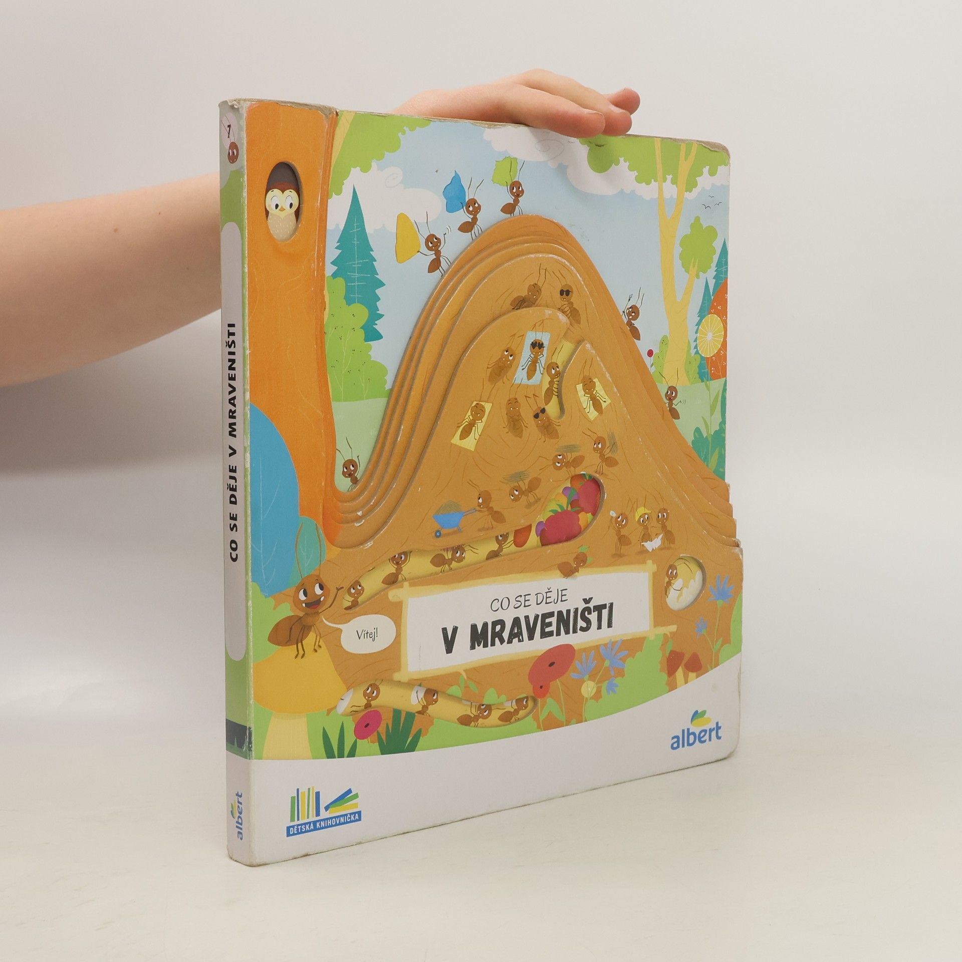 Kolektiv autorů Co se děje v mraveništi