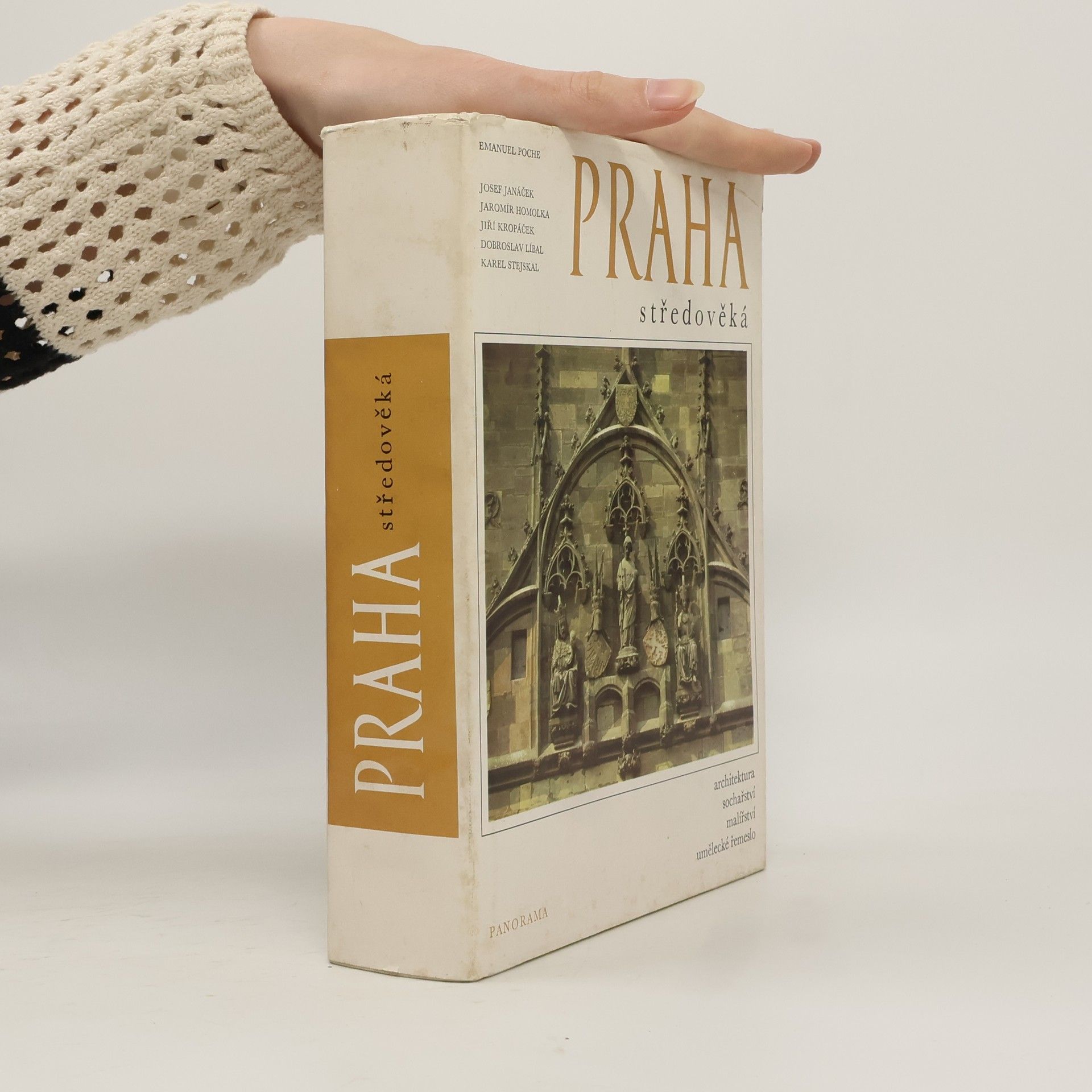 Kolektív autorov Praha středověká