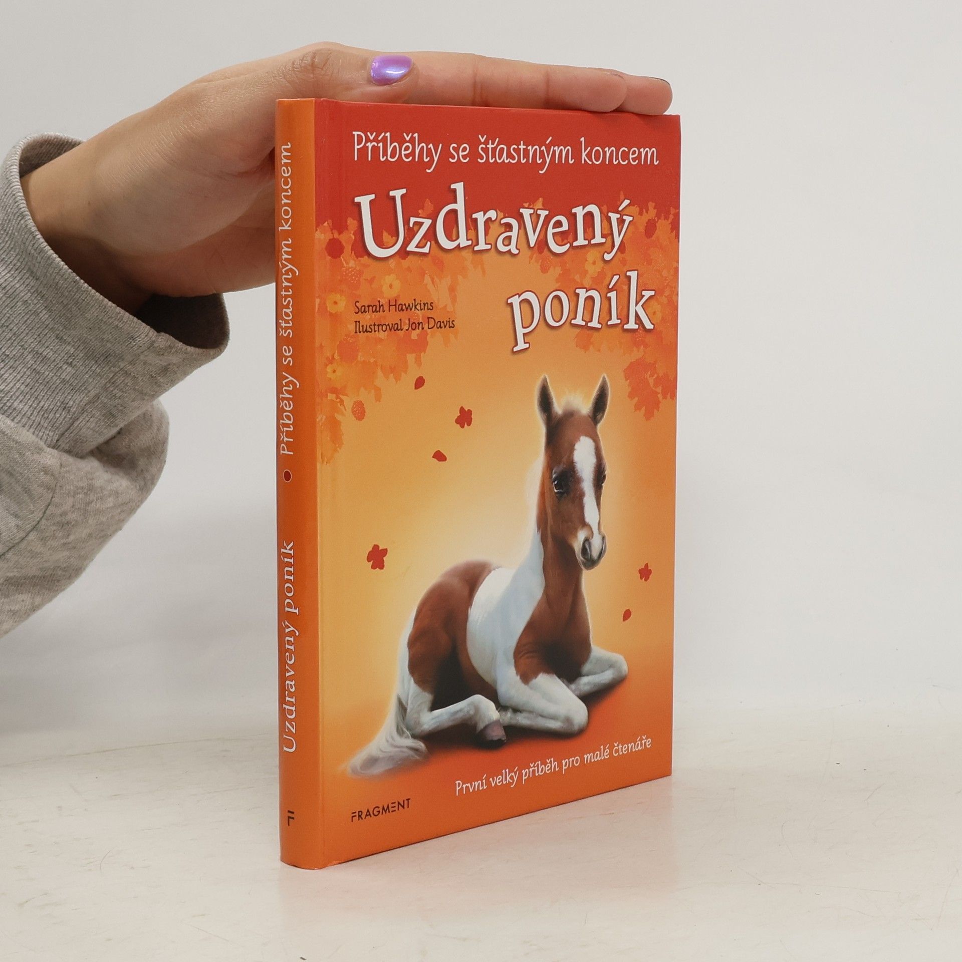 Eva Brožová Uzdravený poník