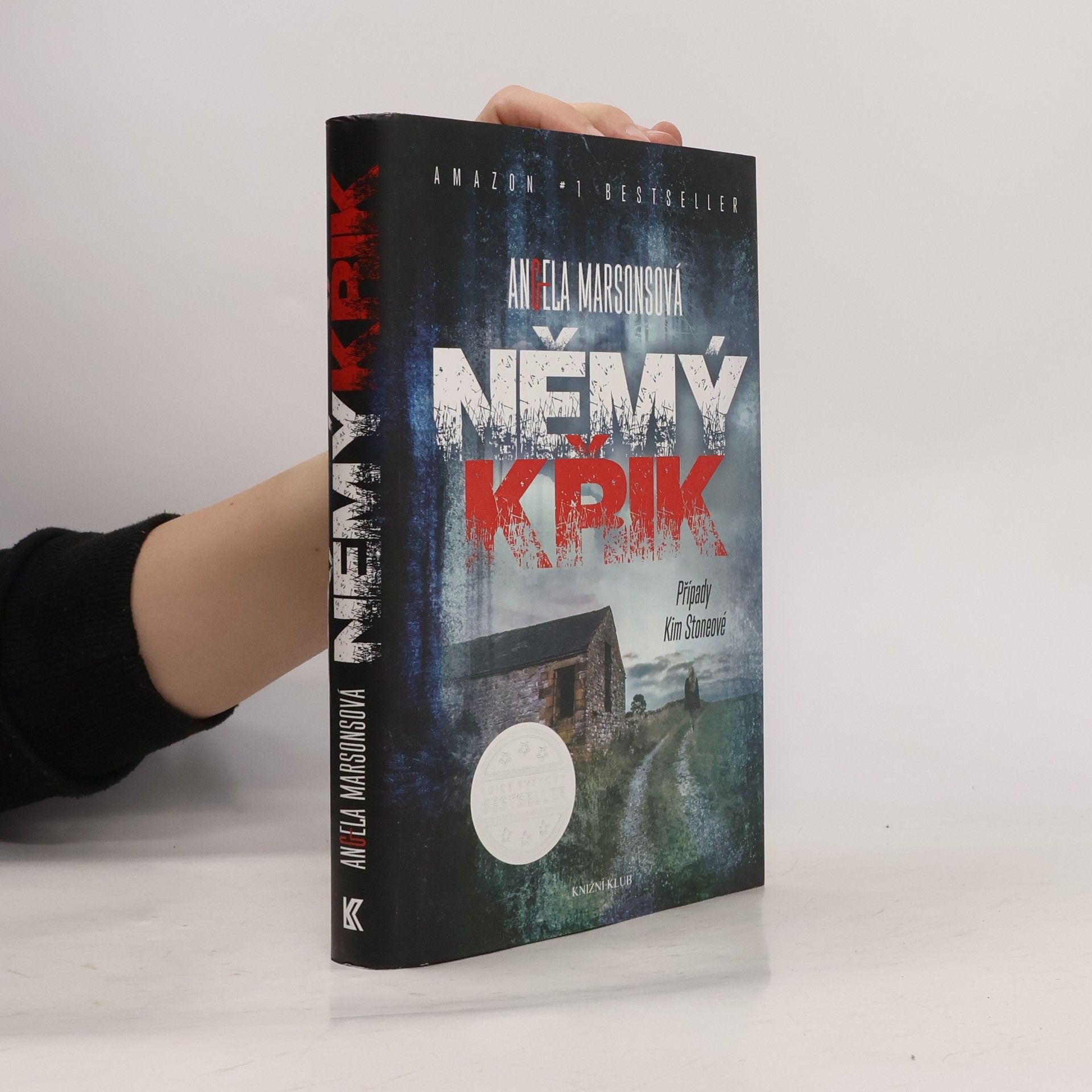 Angela Marsons Němý křik