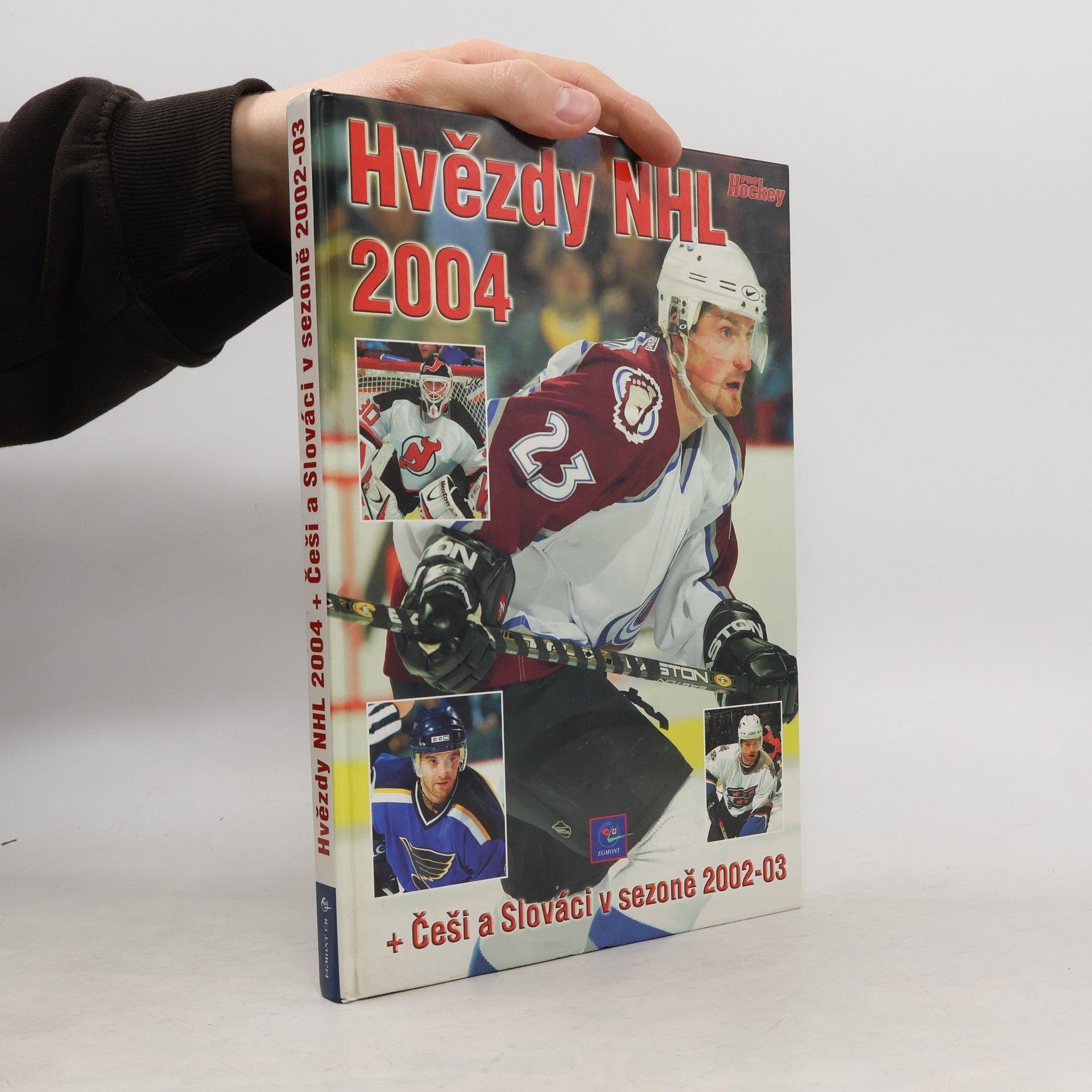 Kolektiv autorů Hvězdy NHL 2004