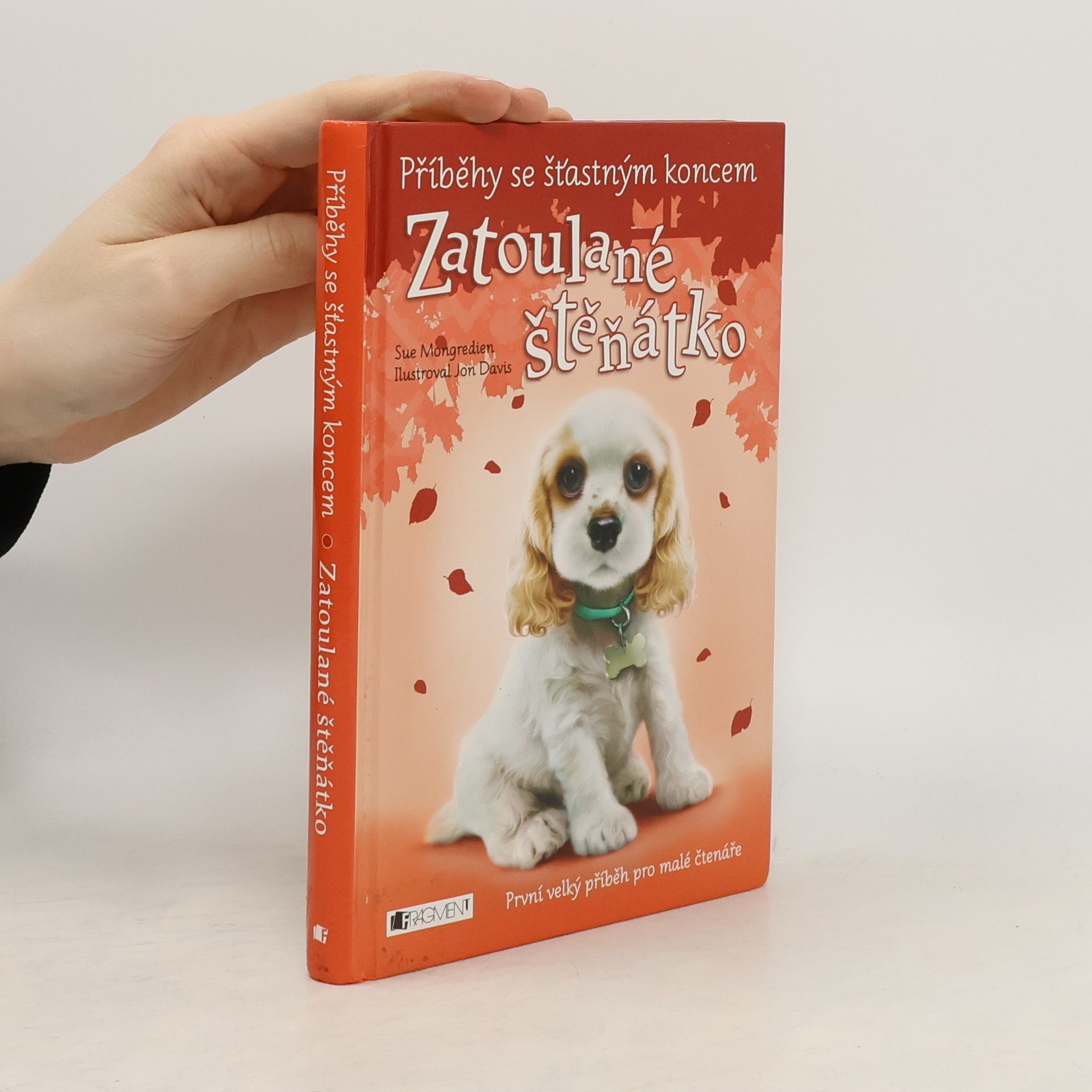 Jon Davis Zatoulané štěňátko