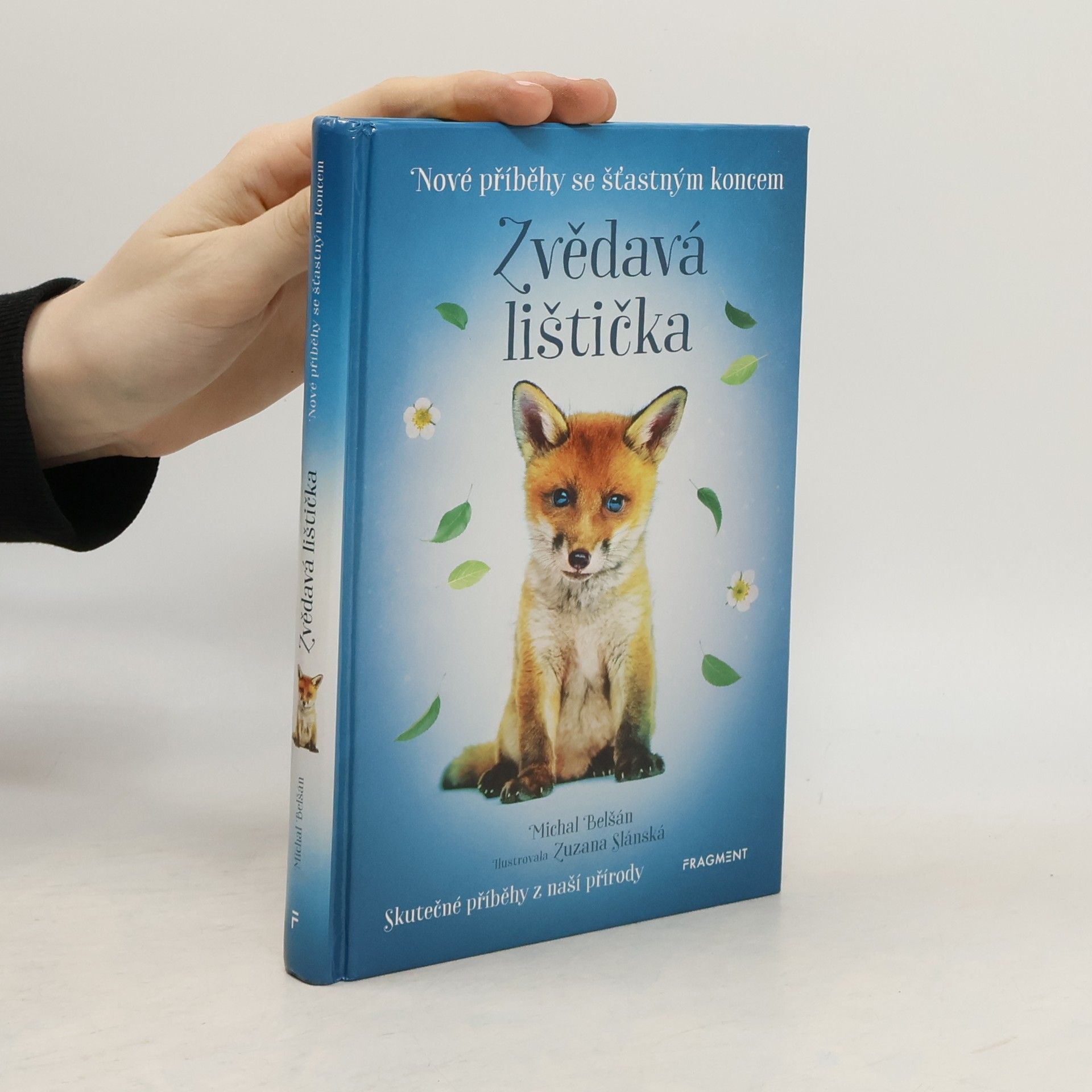 Michal Belšán Zvědavá lištička