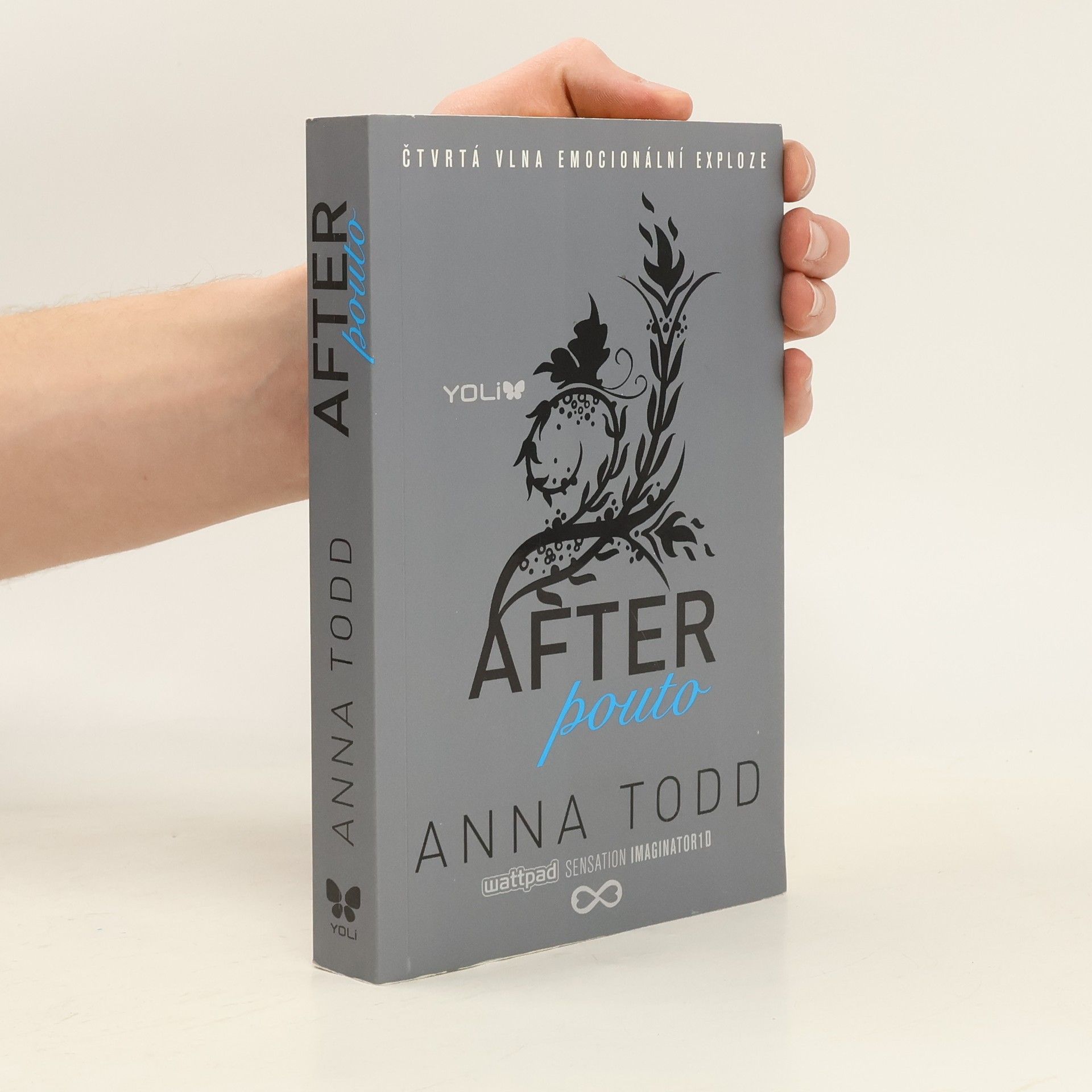 Anna Todd After. Pouto