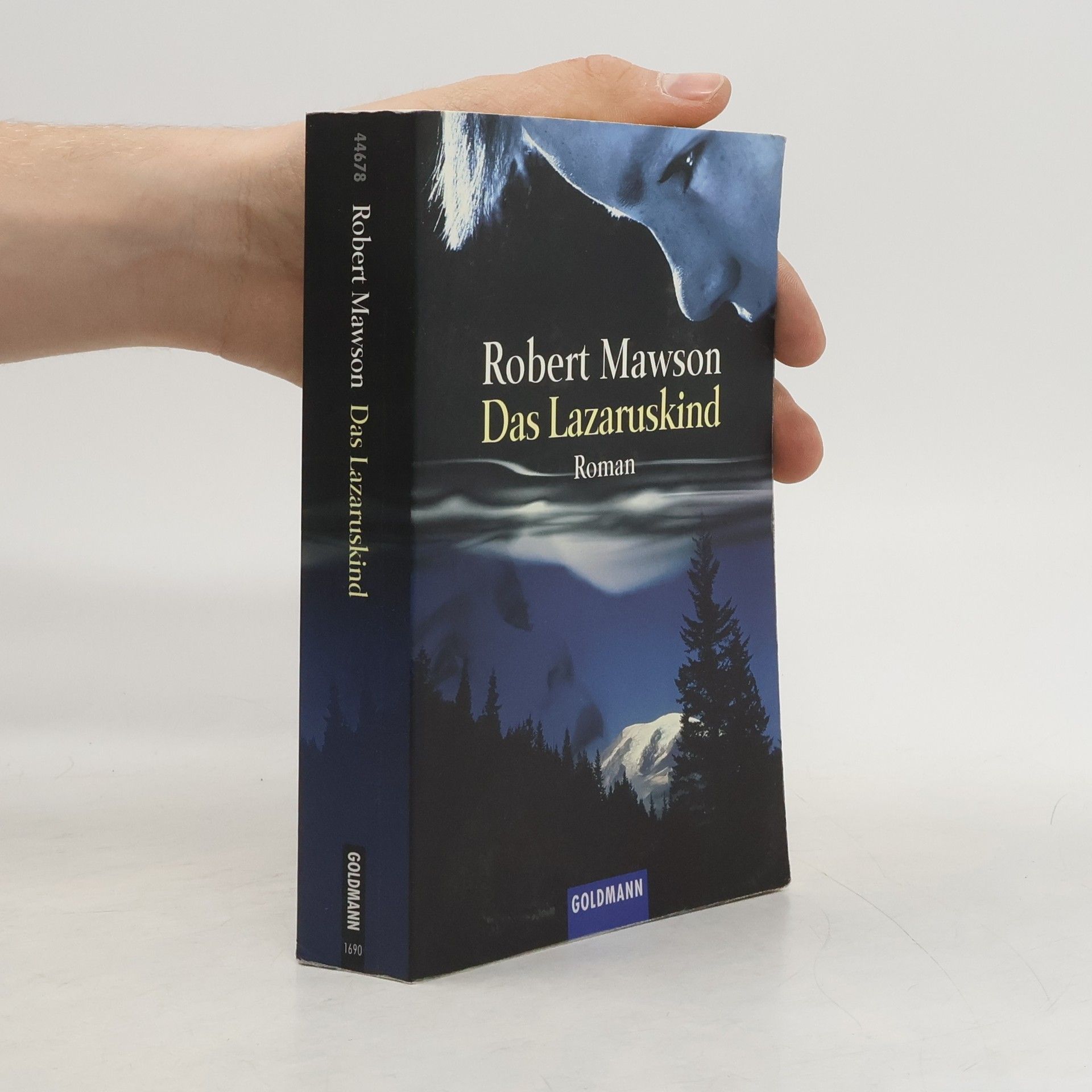 Robert Mawson Das Lazaruskind