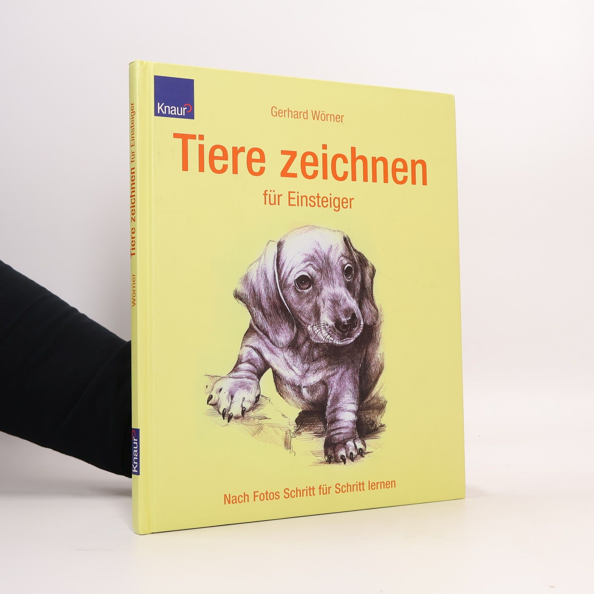 Tiere zeichnen für Einsteiger