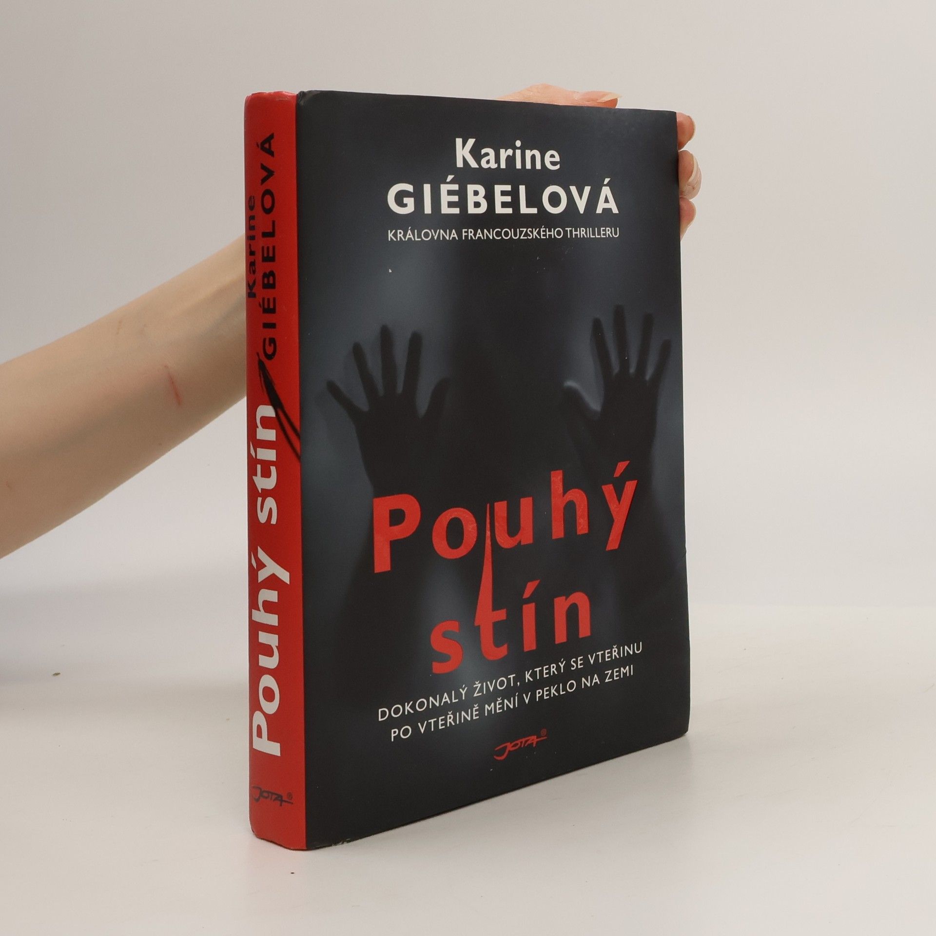 Karine Giebel Pouhý stín
