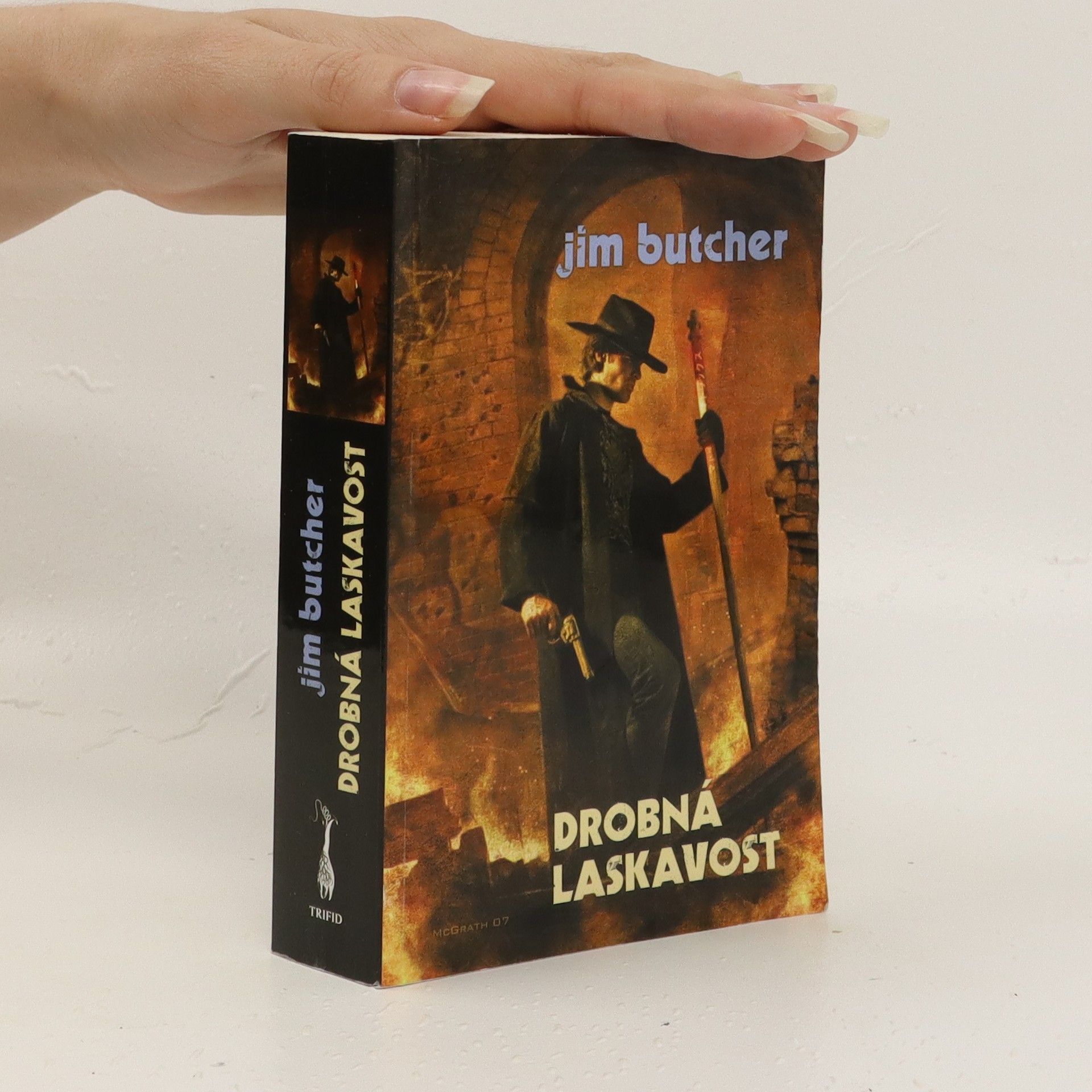 Jim Butcher Drobná laskavost