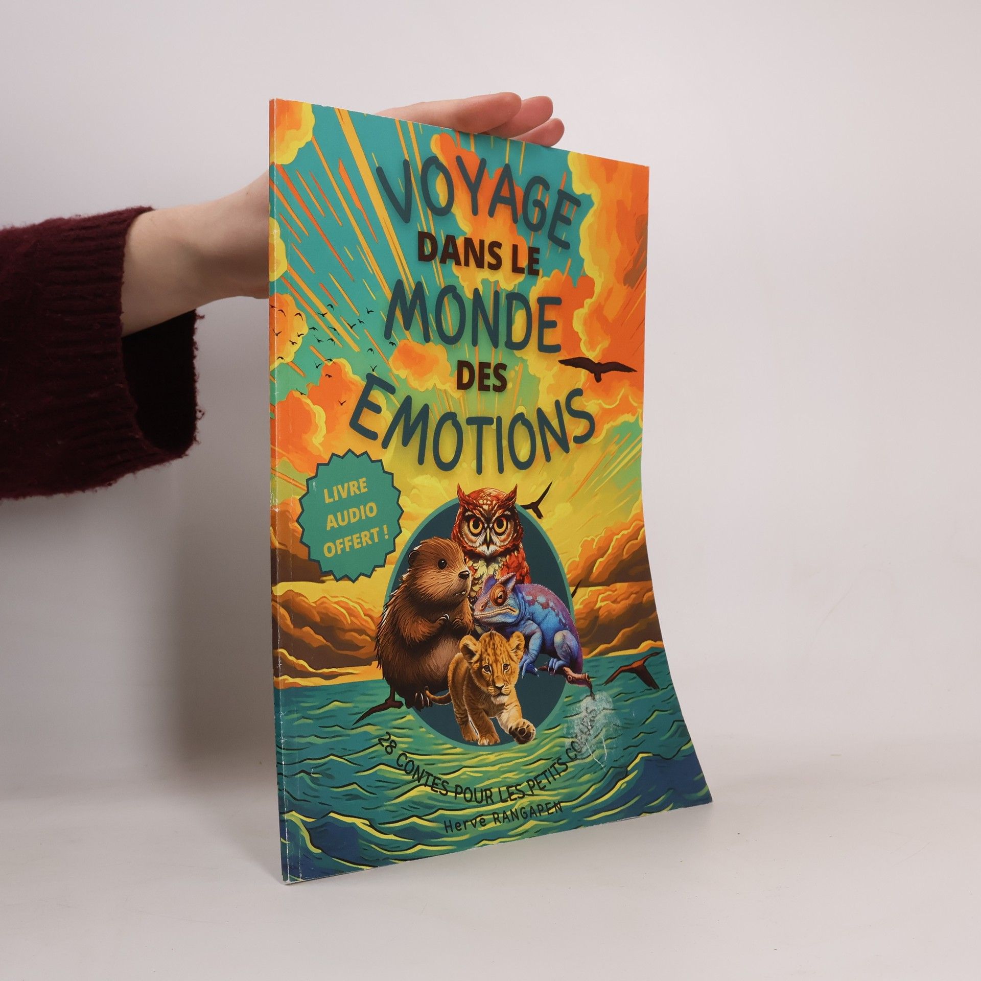 Hervé Rangapen  Les Histoires D'Am&ël: Voyage dans le monde des émotions