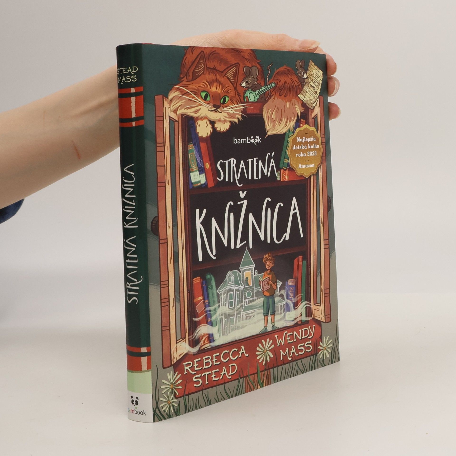 Rebecca Stead Stratená knižnica