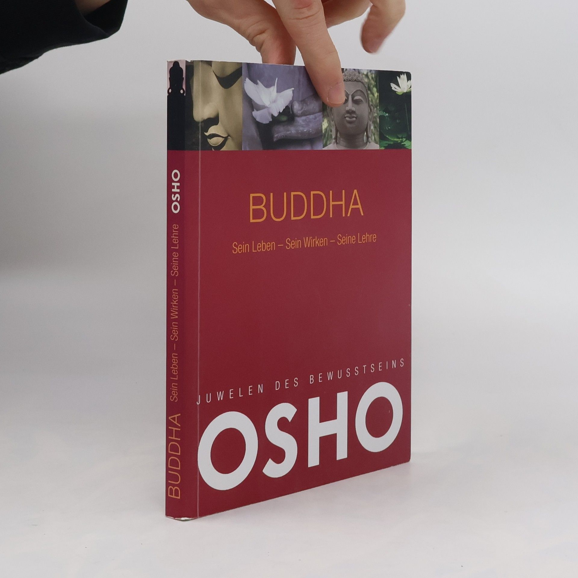 Osho Juwelen des Bewusstseins