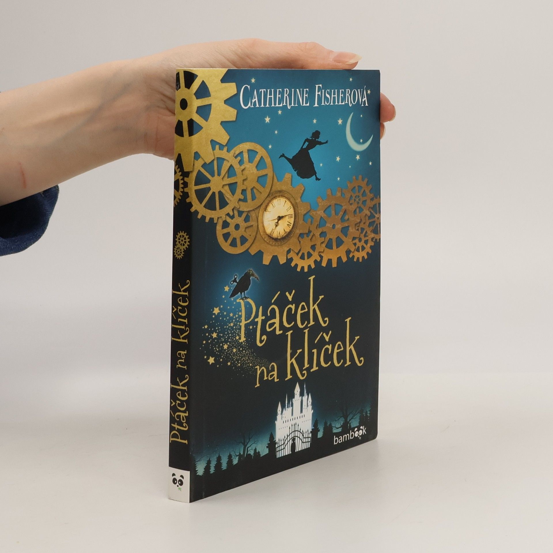 Catherine Fisher Ptáček na klíček