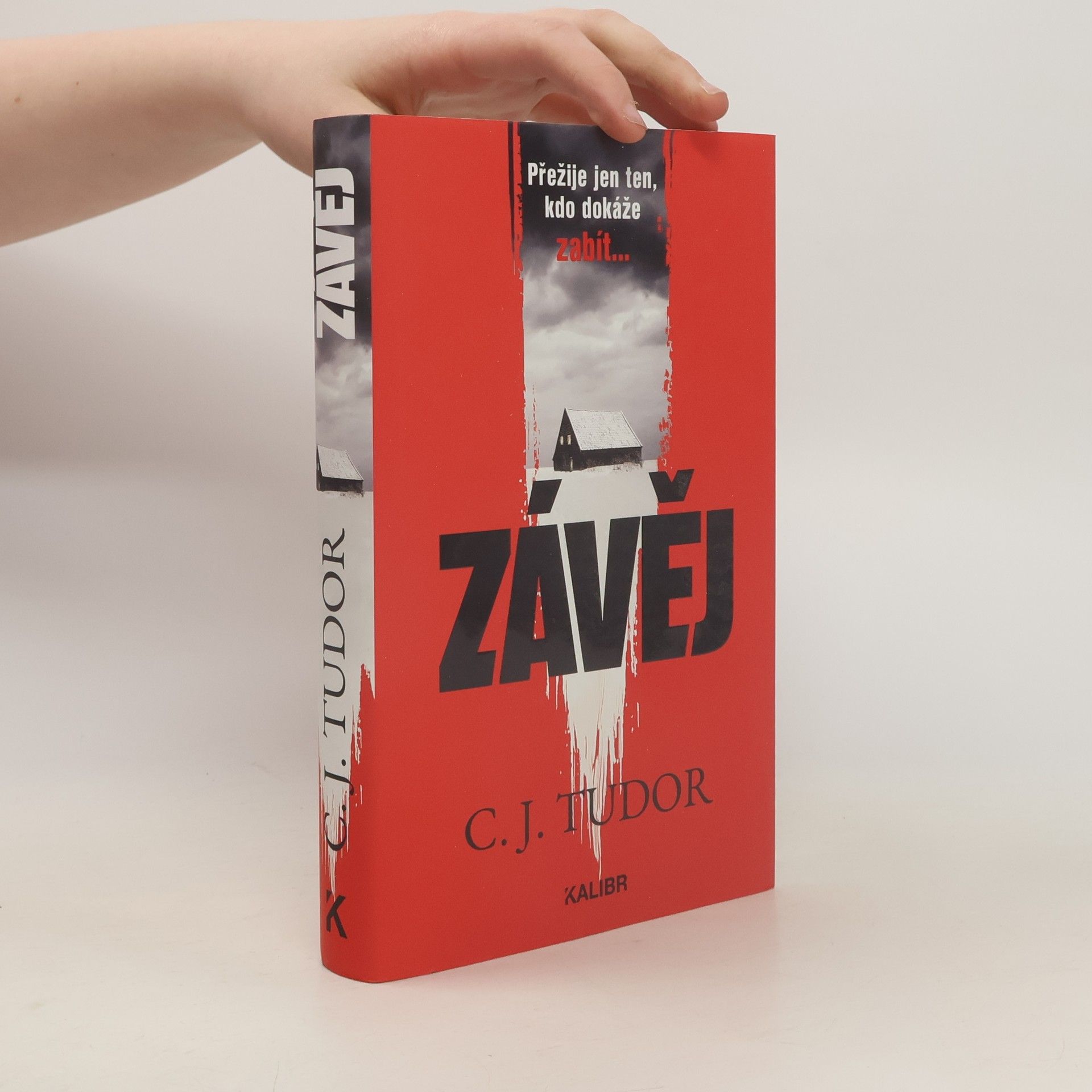 Jana Kunová Závěj