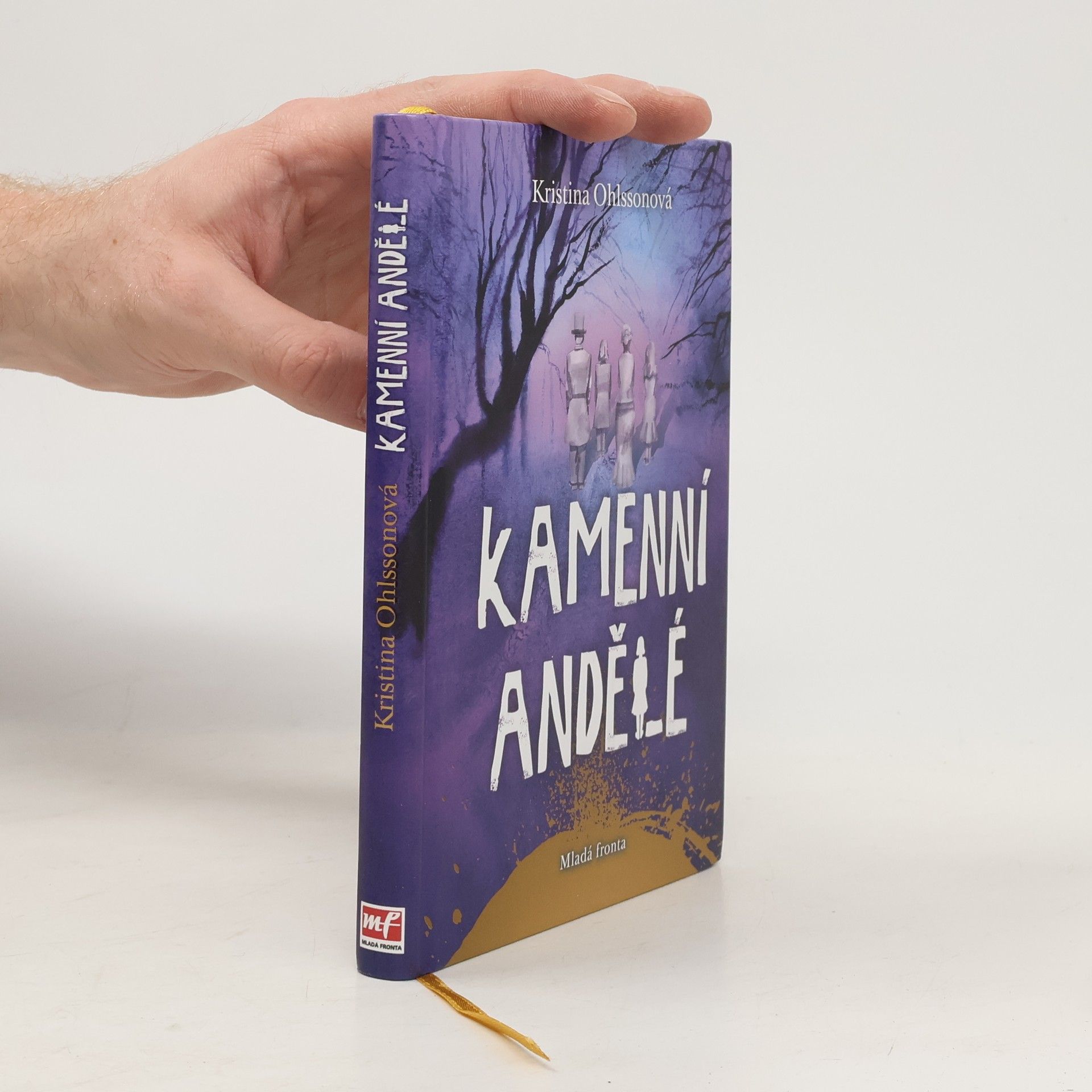 Kristina Ohlsson Kamenní andělé