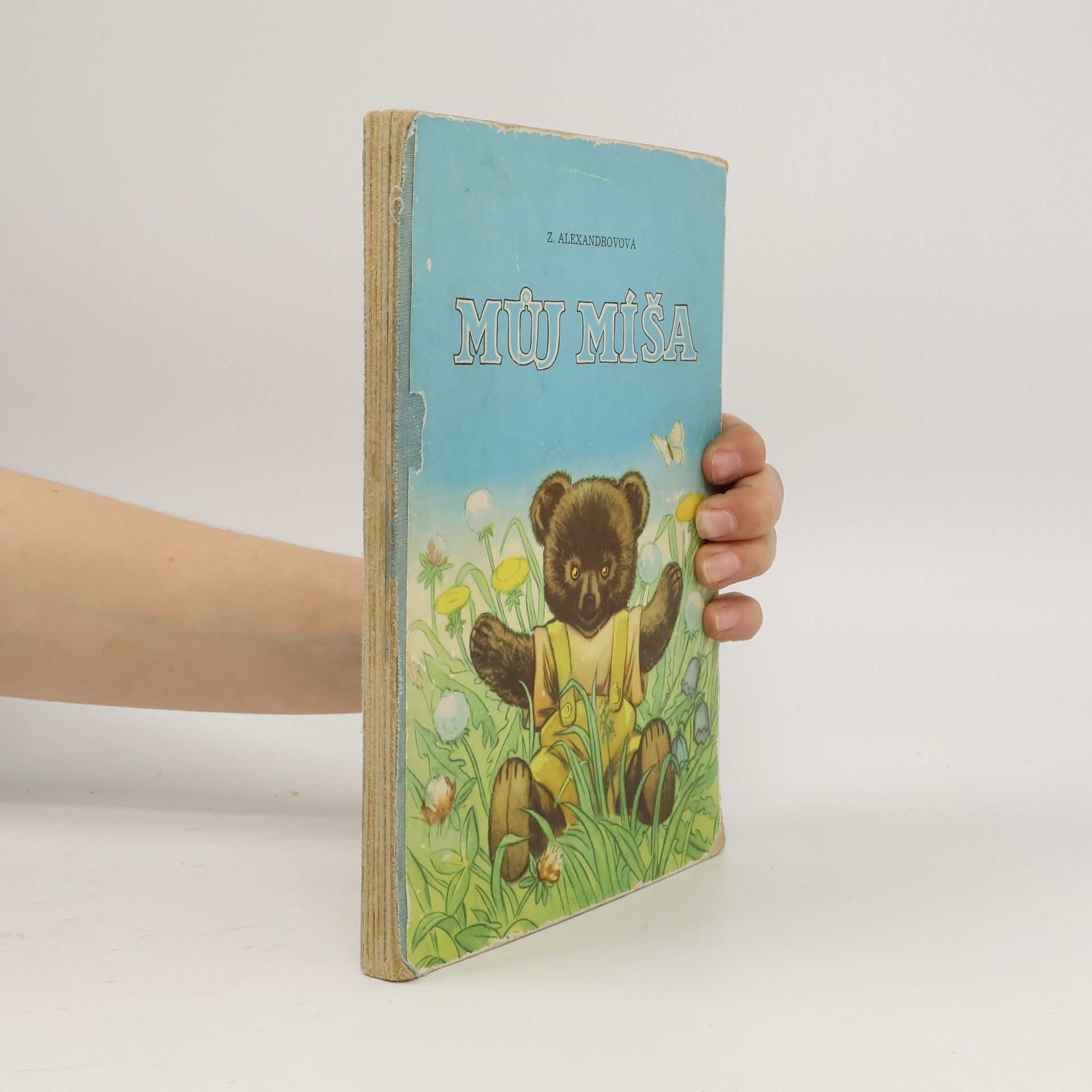Z. Alexandrová Můj Míša