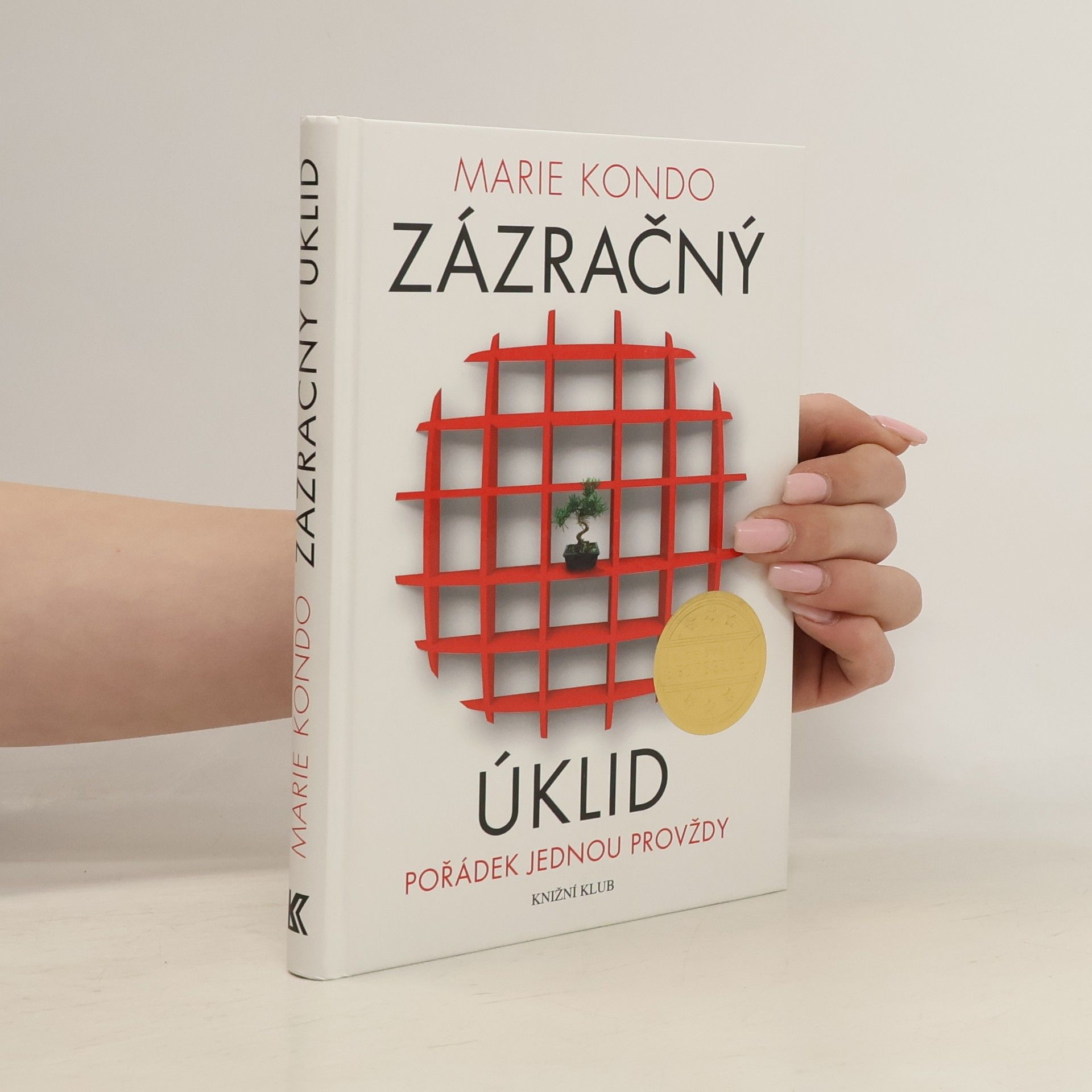 Zázračný úklid
