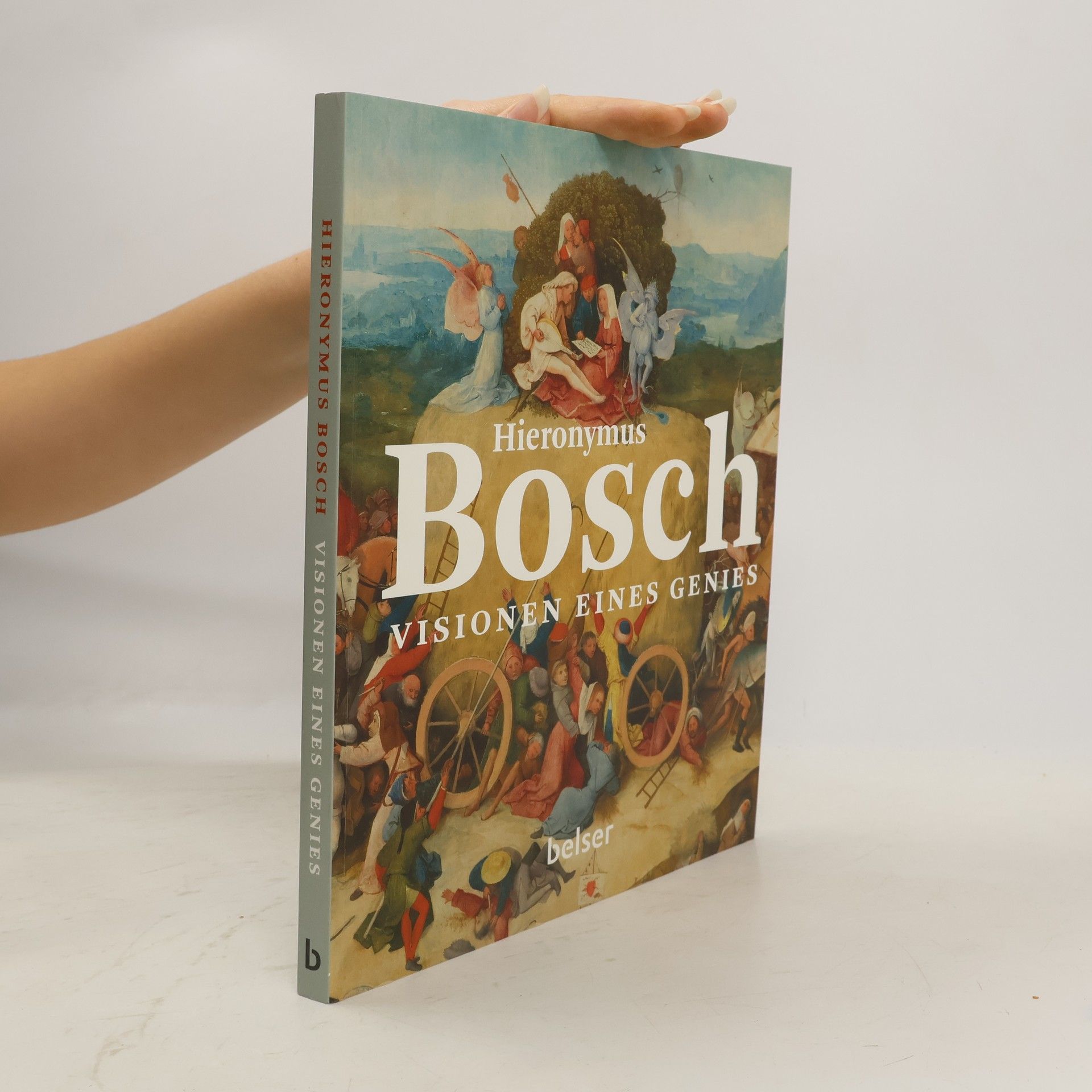 Matthijs Ilsink Hieronymus Bosch - Visionen eines Genies