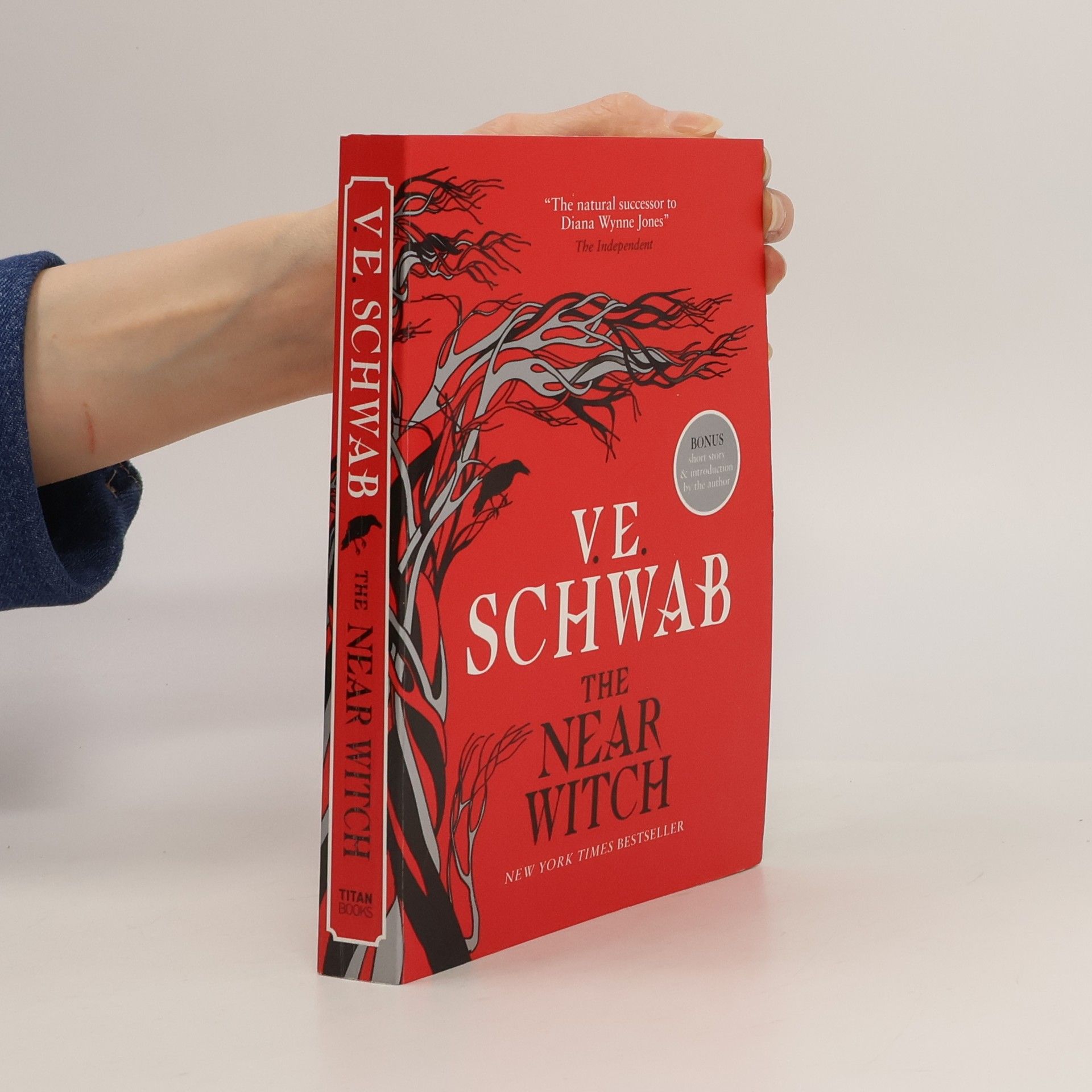 Victoria Schwabová The Near Witch