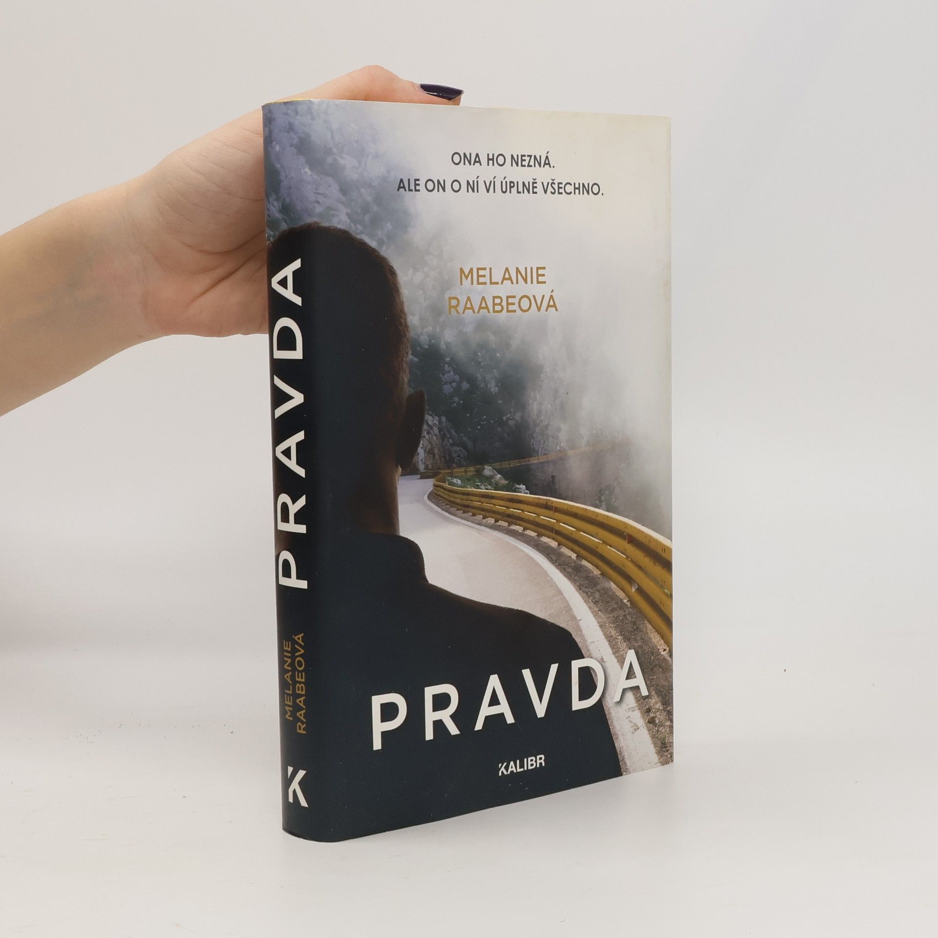 Melanie Raabe Pravda