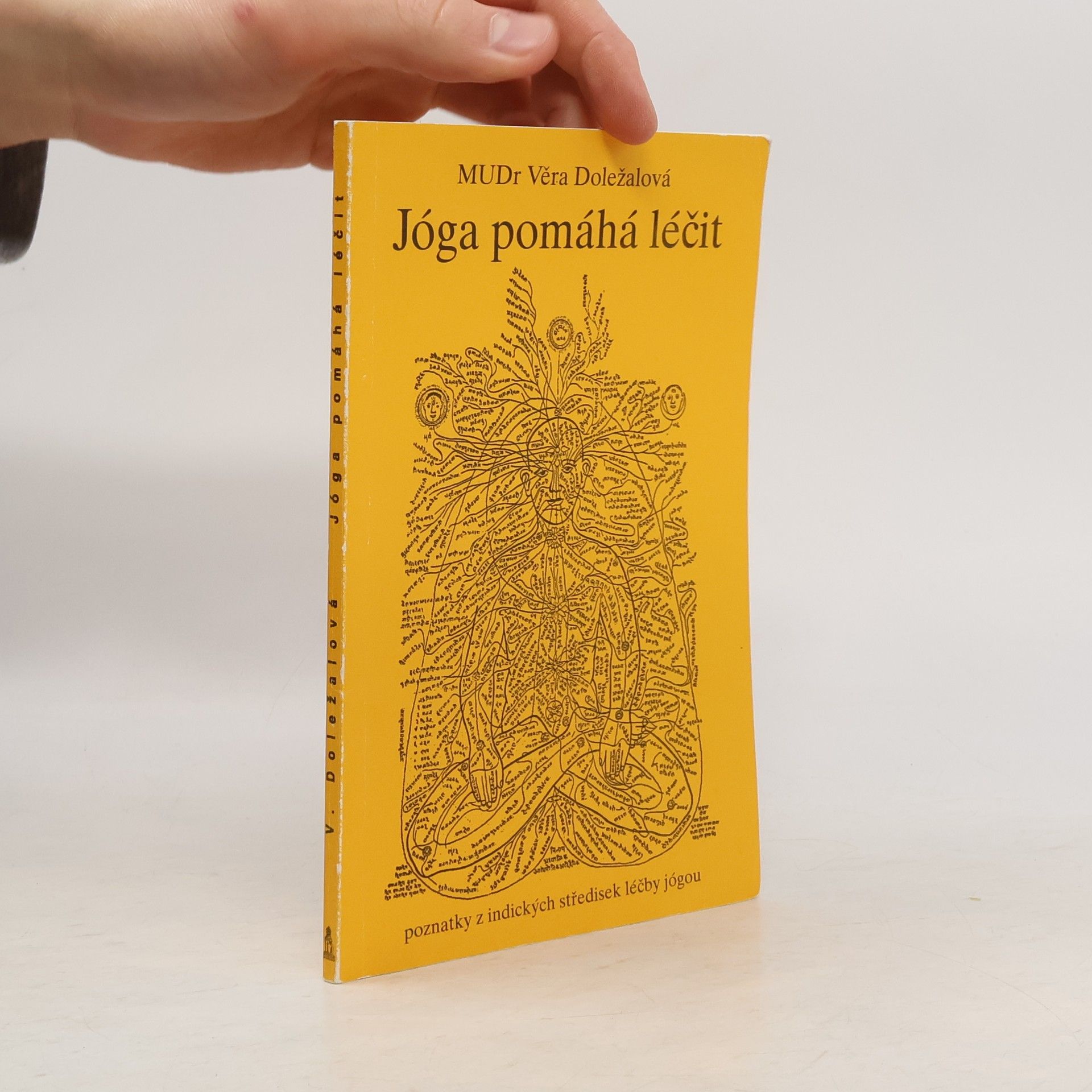 Jóga pomáhá léčit : poznatky z indických středisek léčby jógou