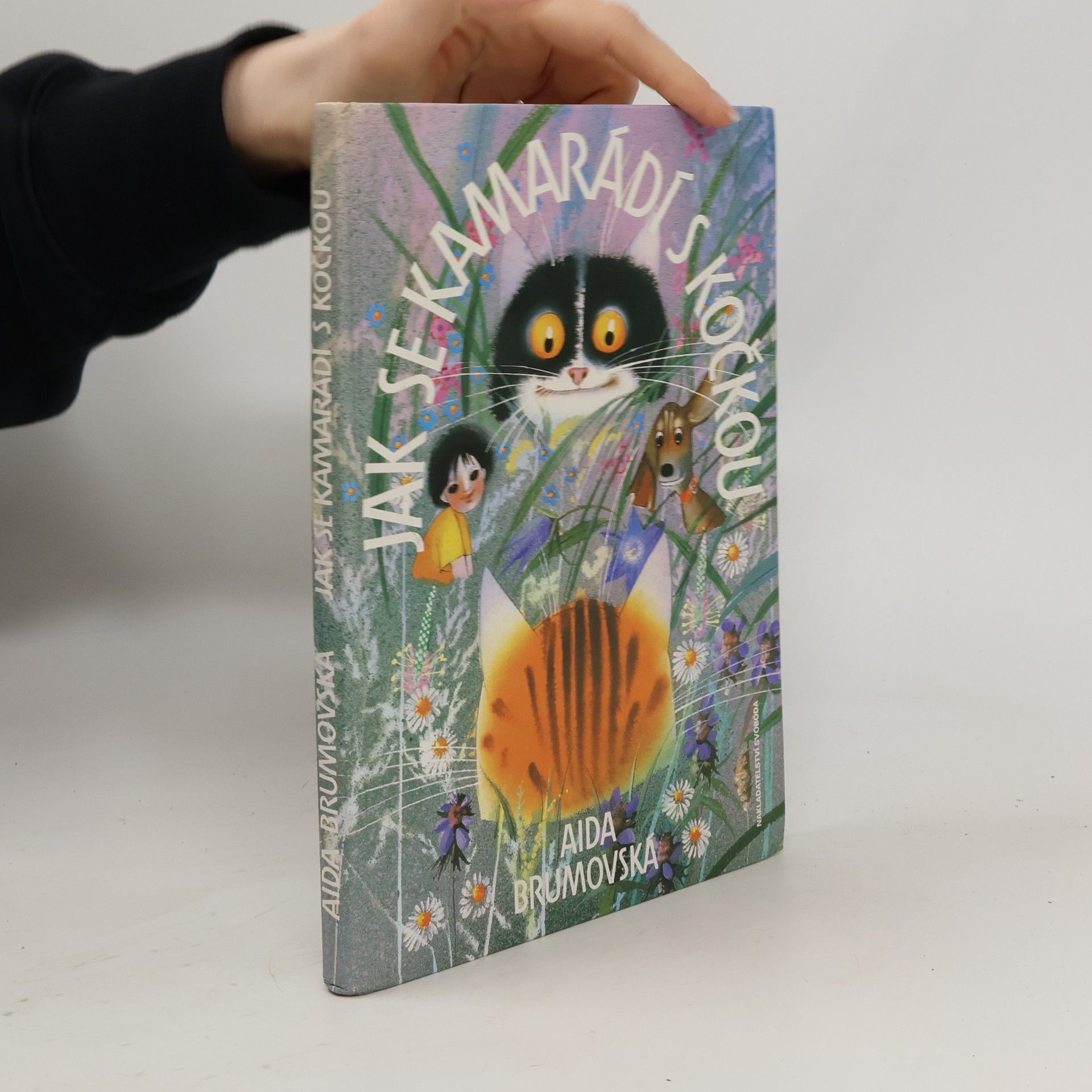 Aida Brumovská Jak se kamarádí s kočkou