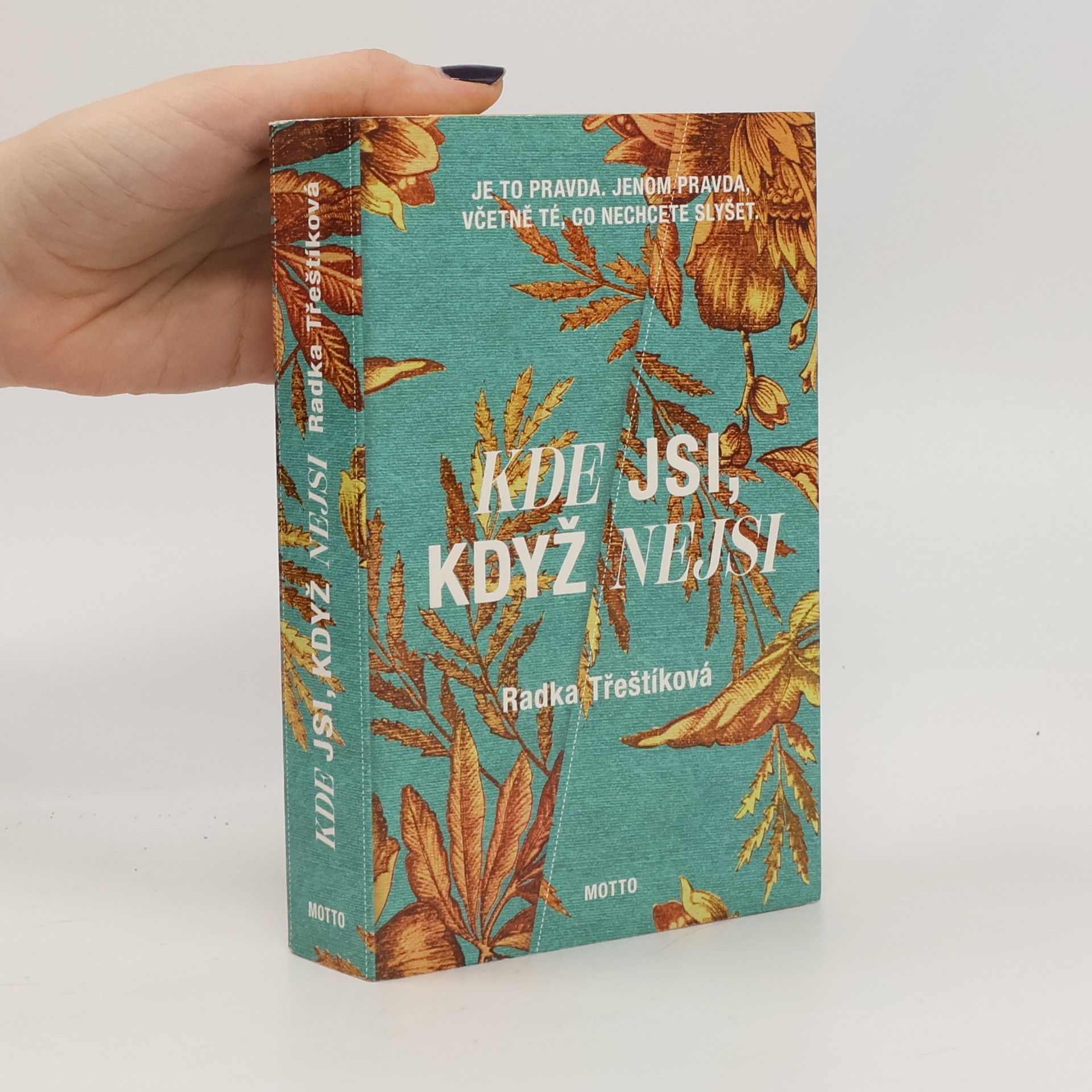 Radka Třeštíková Kde jsi, když nejsi