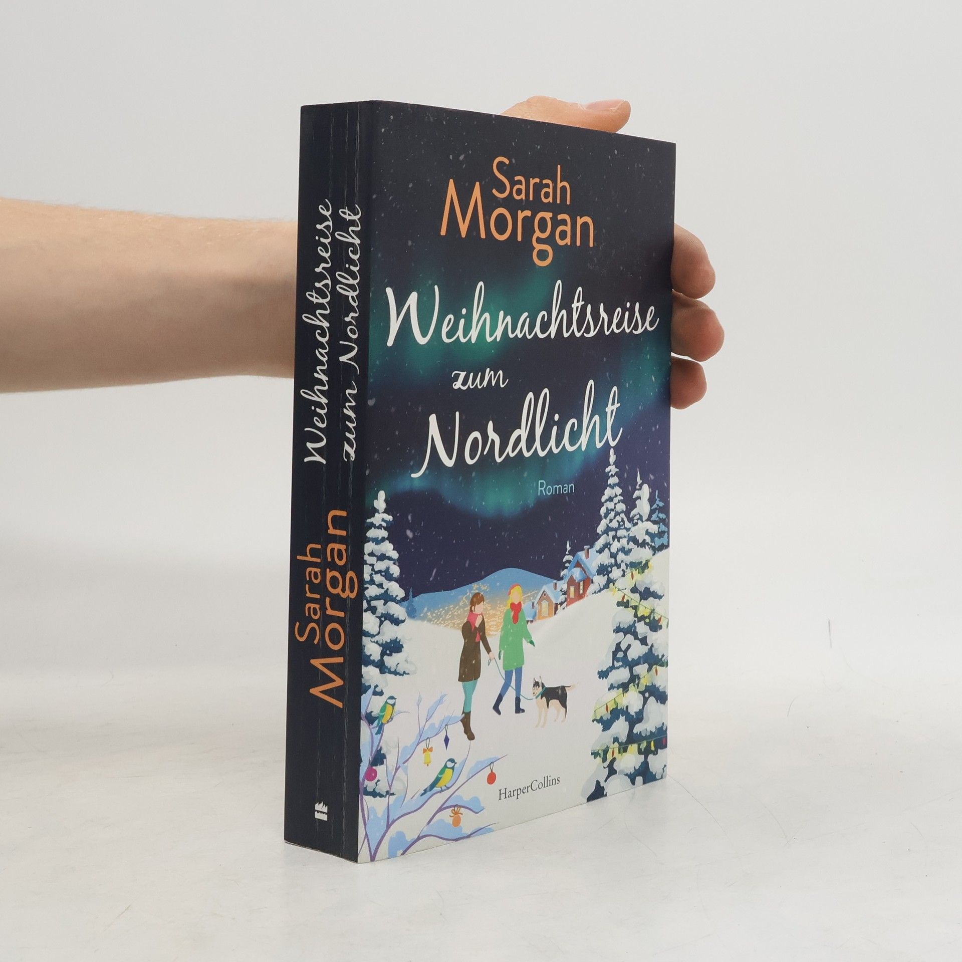 Sarah Morgan Weihnachtsreise zum Nordlicht