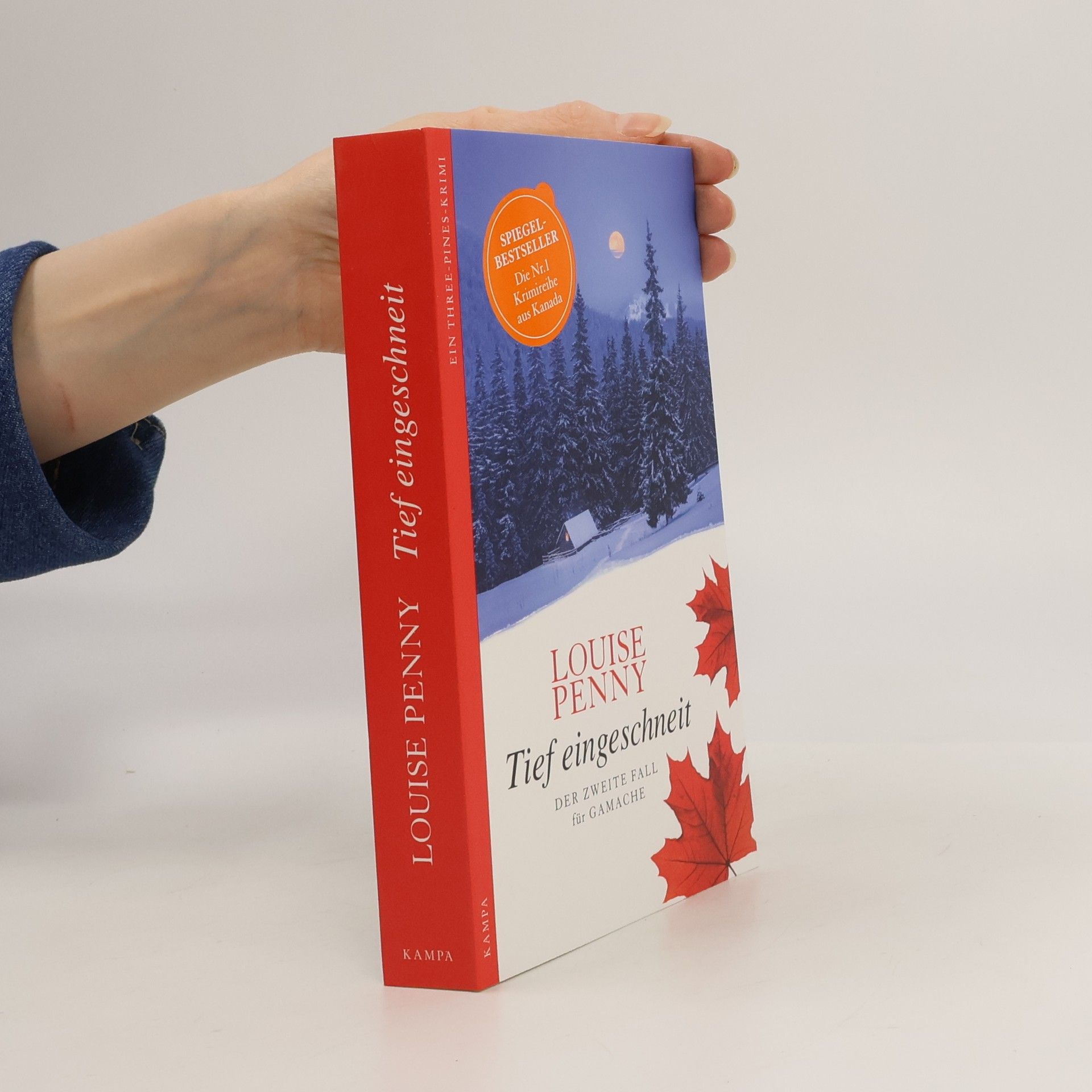 Louise Penny Tief eingeschneit