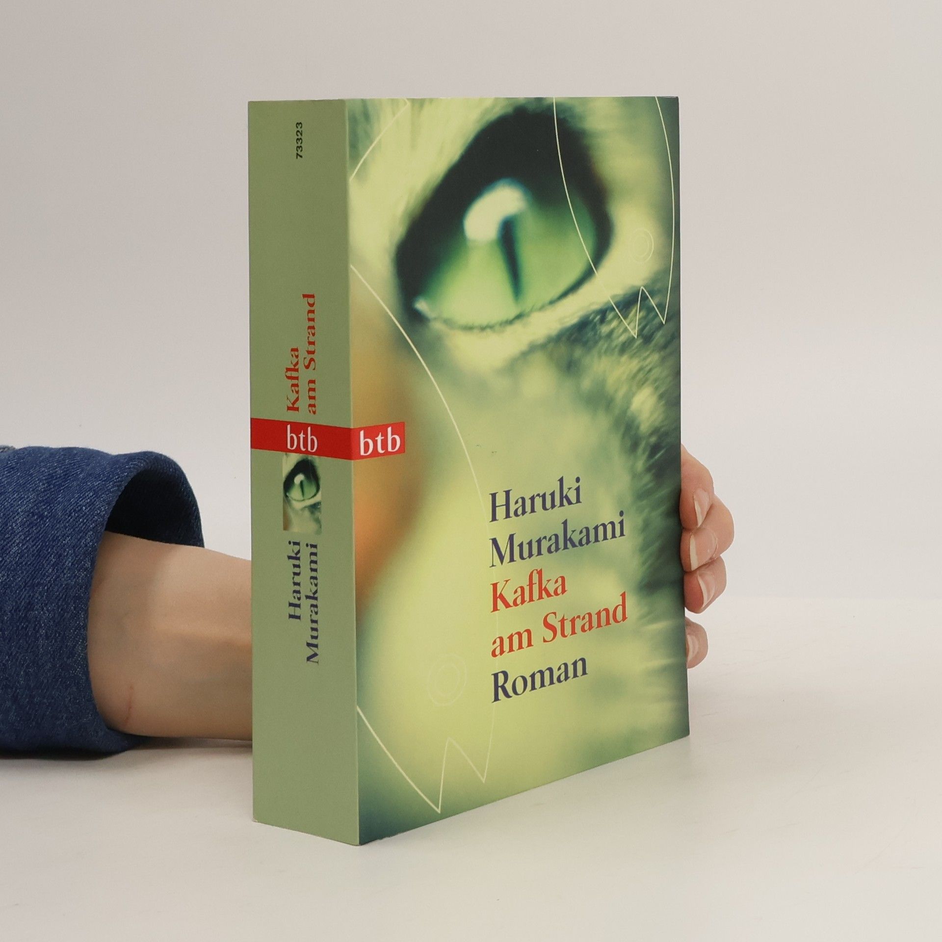 Haruki Murakami Kafka am Strand