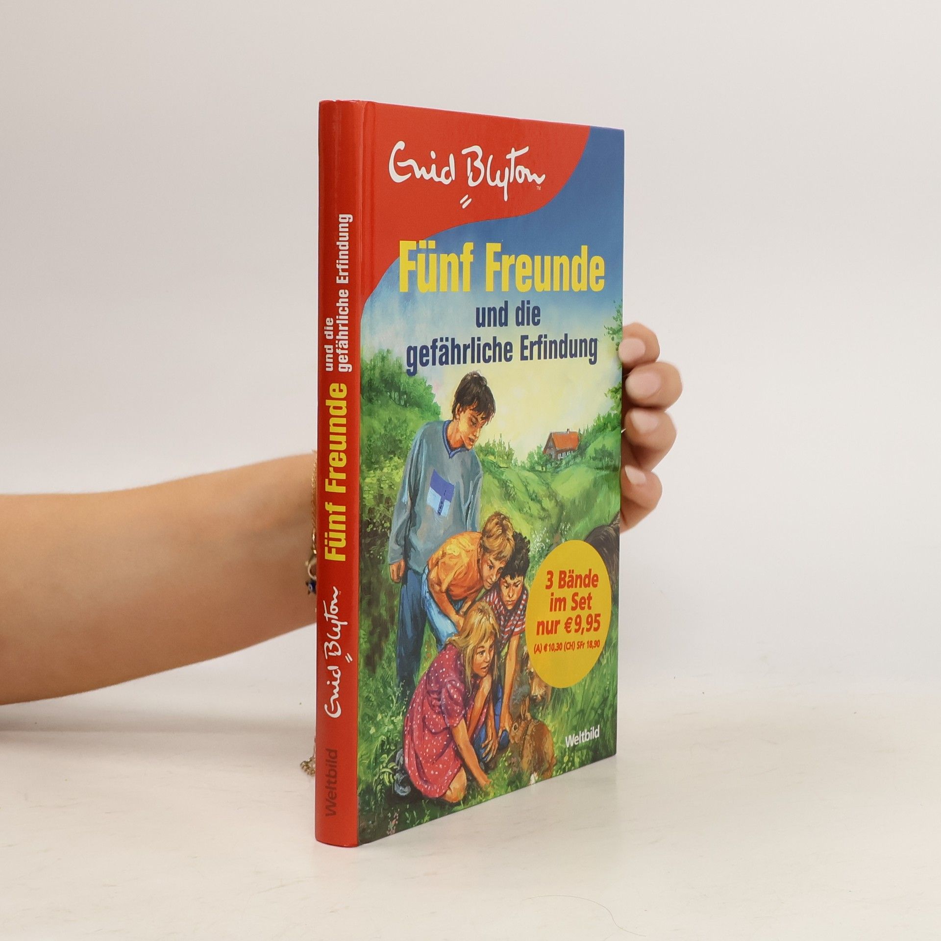 Sarah Bosse Fünf Freunde entlarven den Betrüger