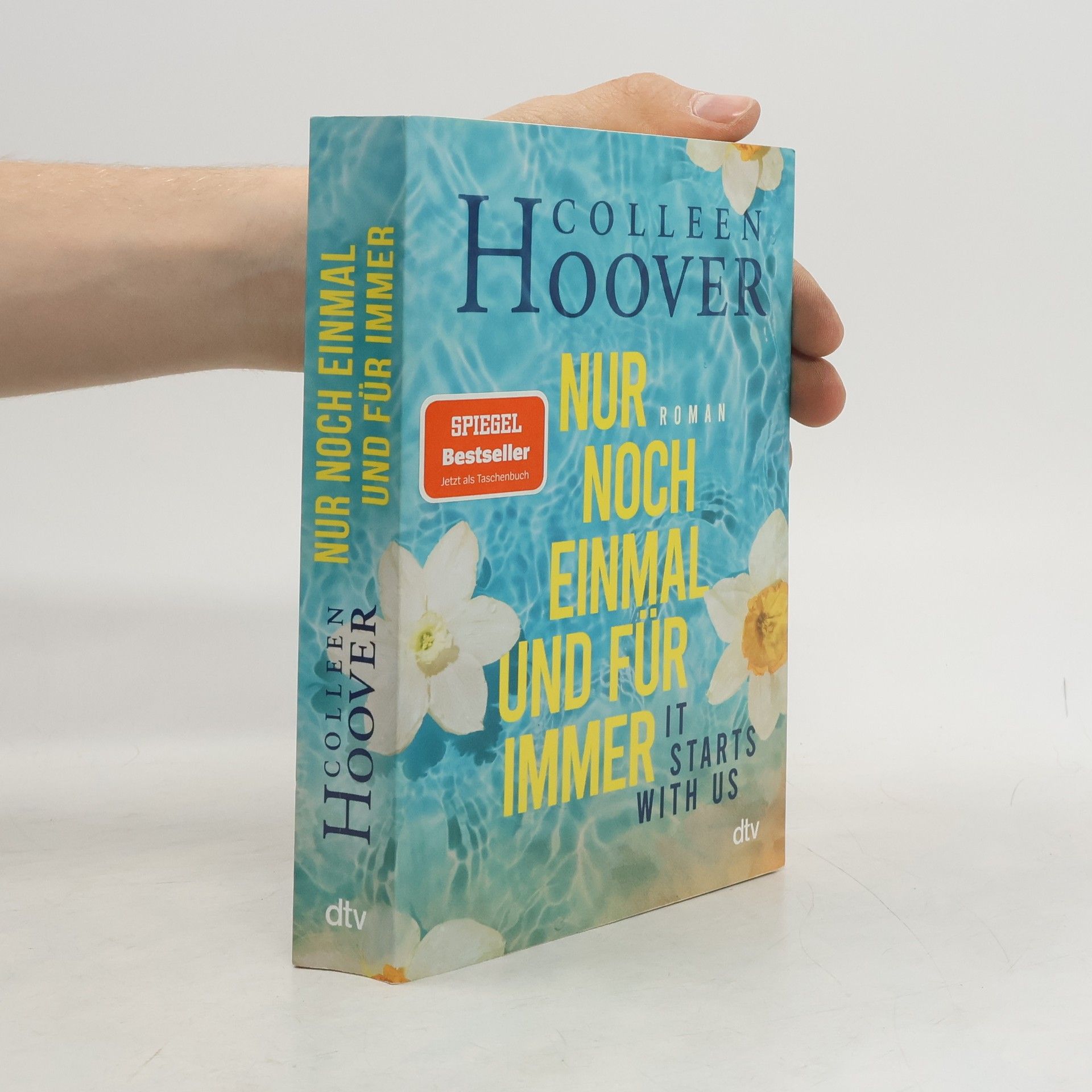 Colleen Hoover Nur noch einmal und für immer