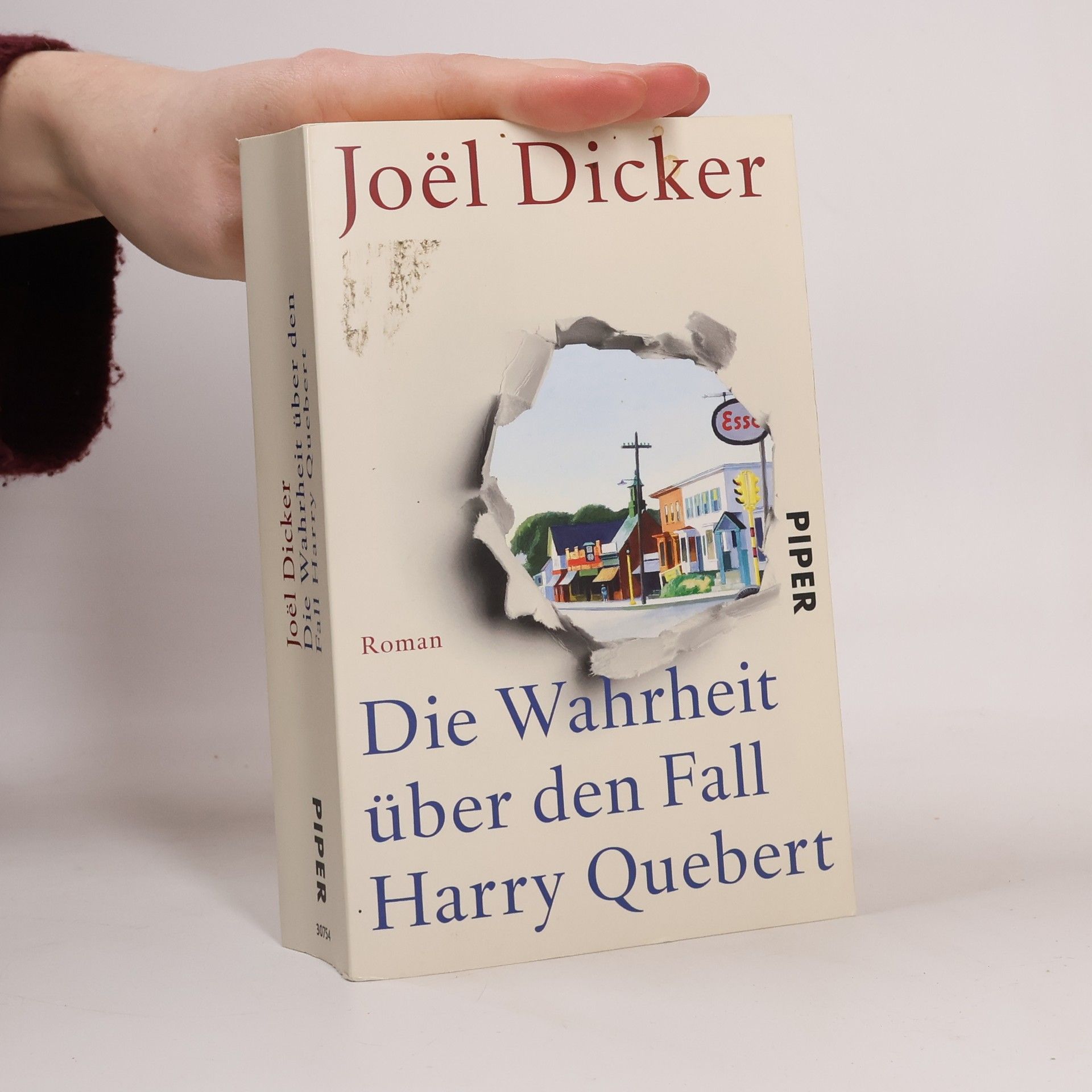 Die Wahrheit über den Fall Harry Quebert