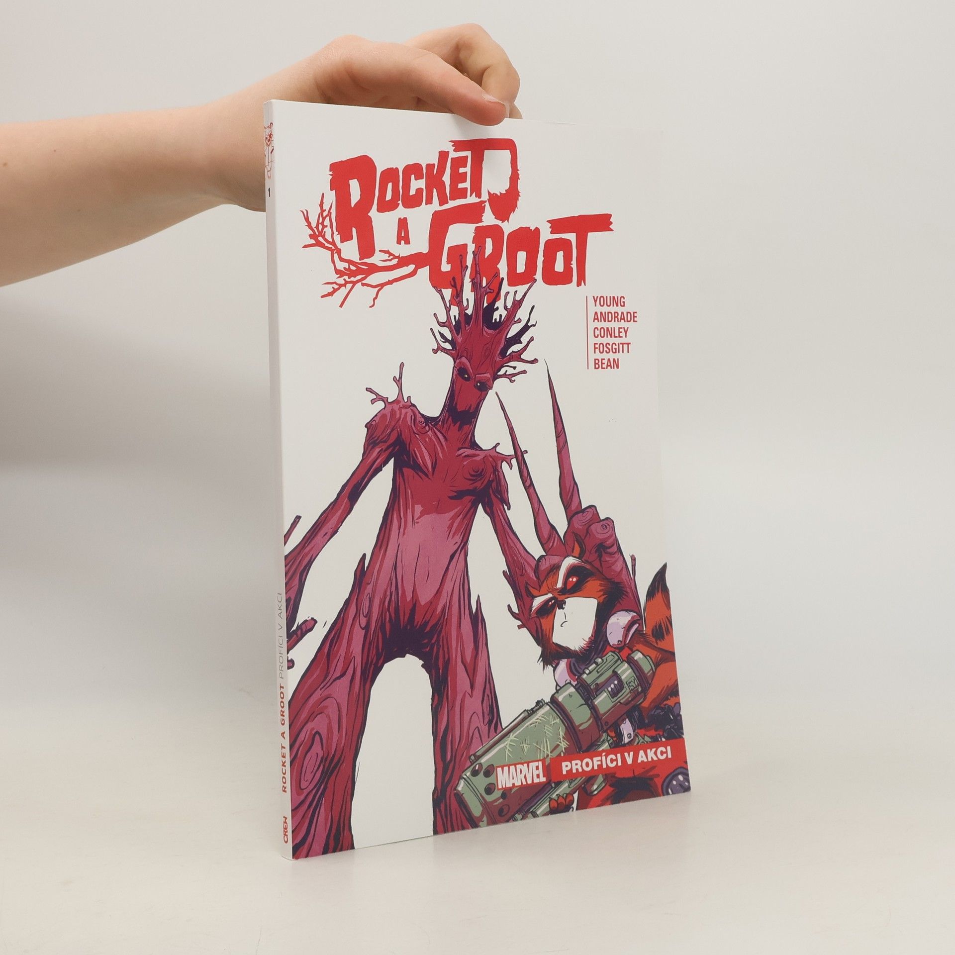 Skottie Young Rocket a Groot. Profíci v akci