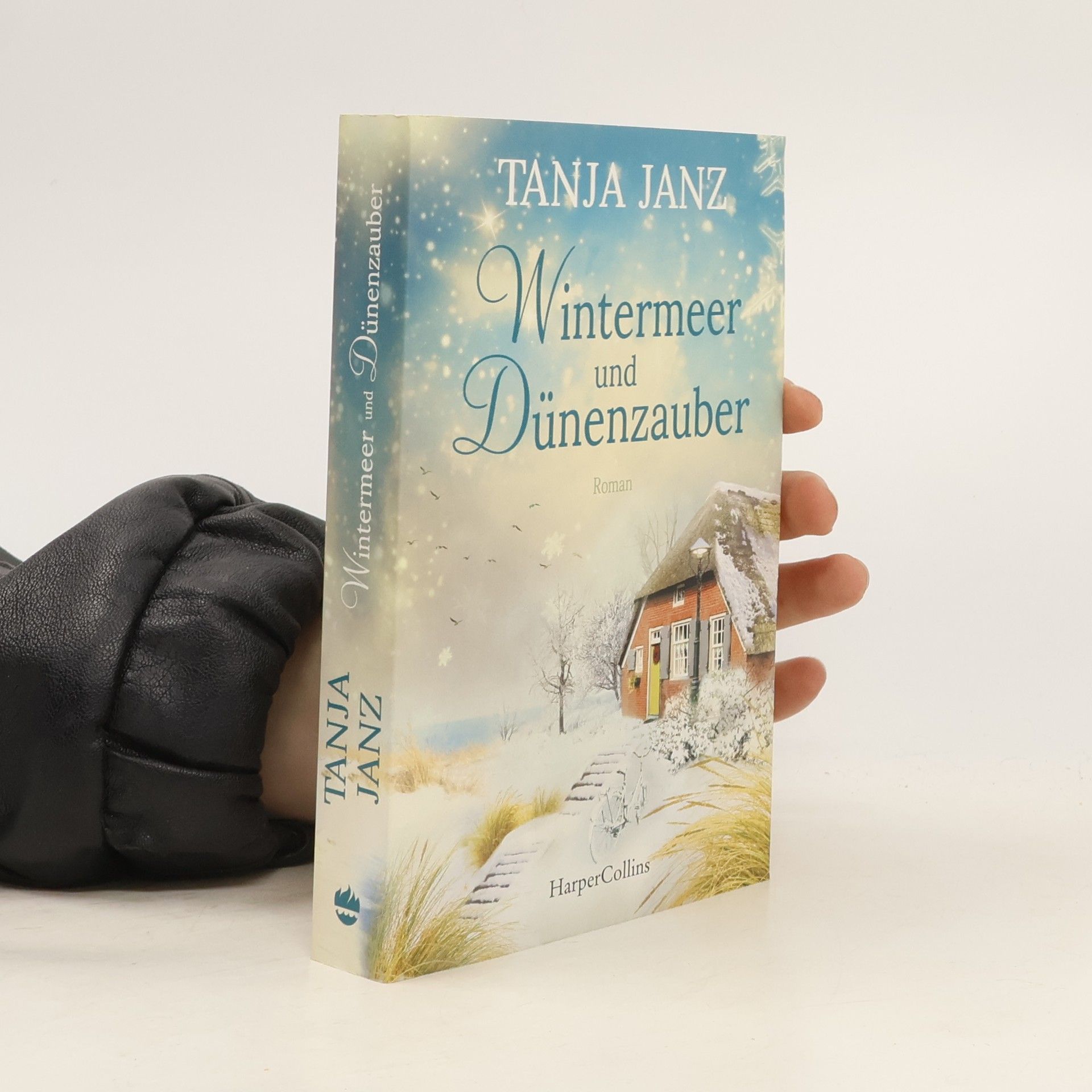 Tanja Janz Wintermeer und Dünenzauber