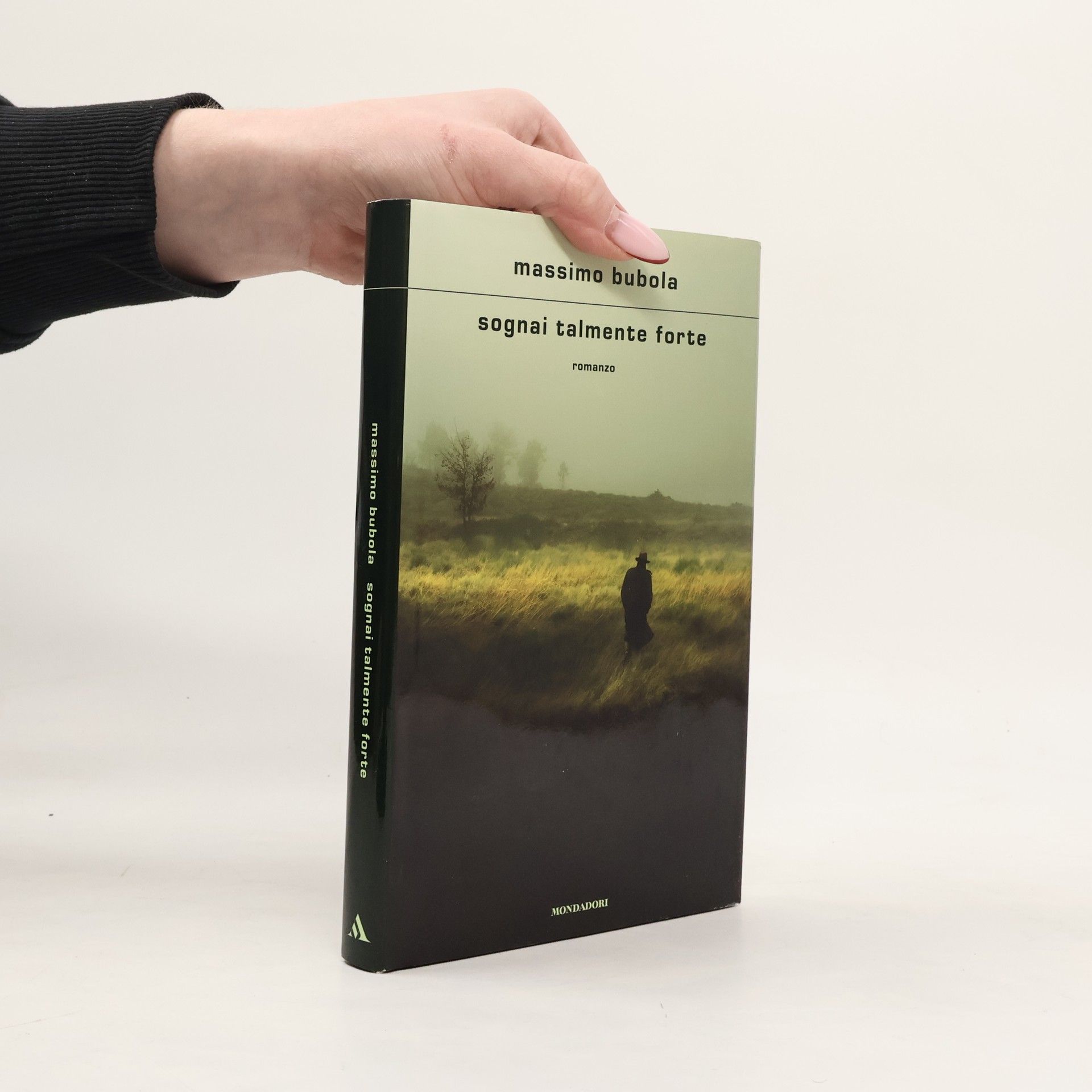 Massimo Bubola Scrittori italiani e stranieri: Sognai talmente forte