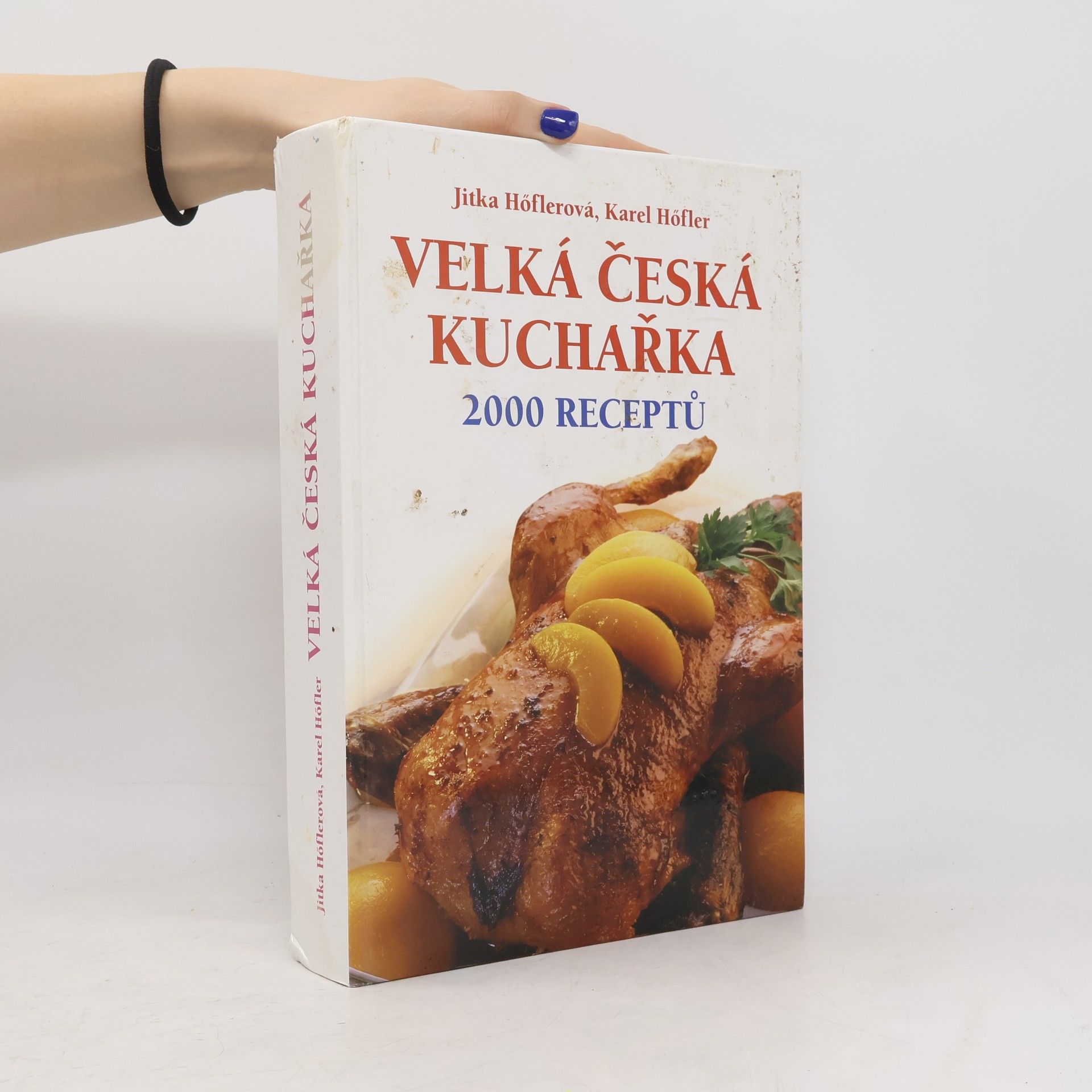 Jitka Höflerová Velká česká kuchařka. 2000 receptů