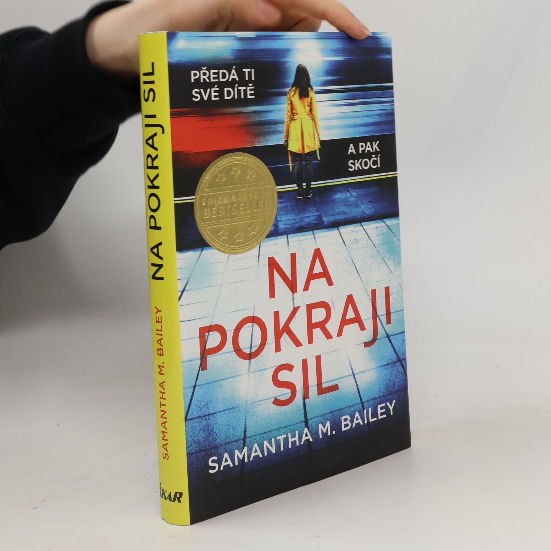Samantha M. Bailey Na pokraji sil