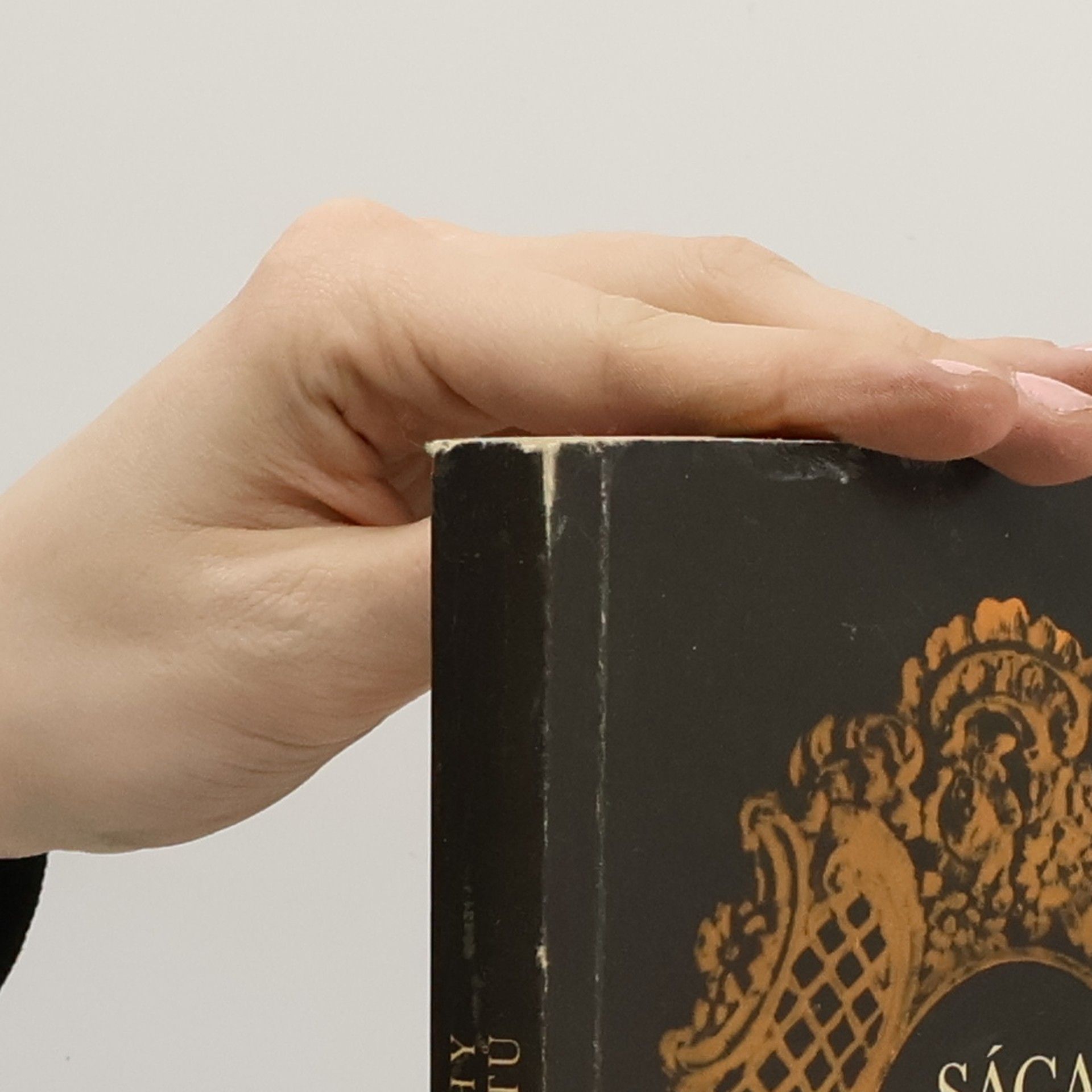 John Galsworthy Sága rodu Forsytů III