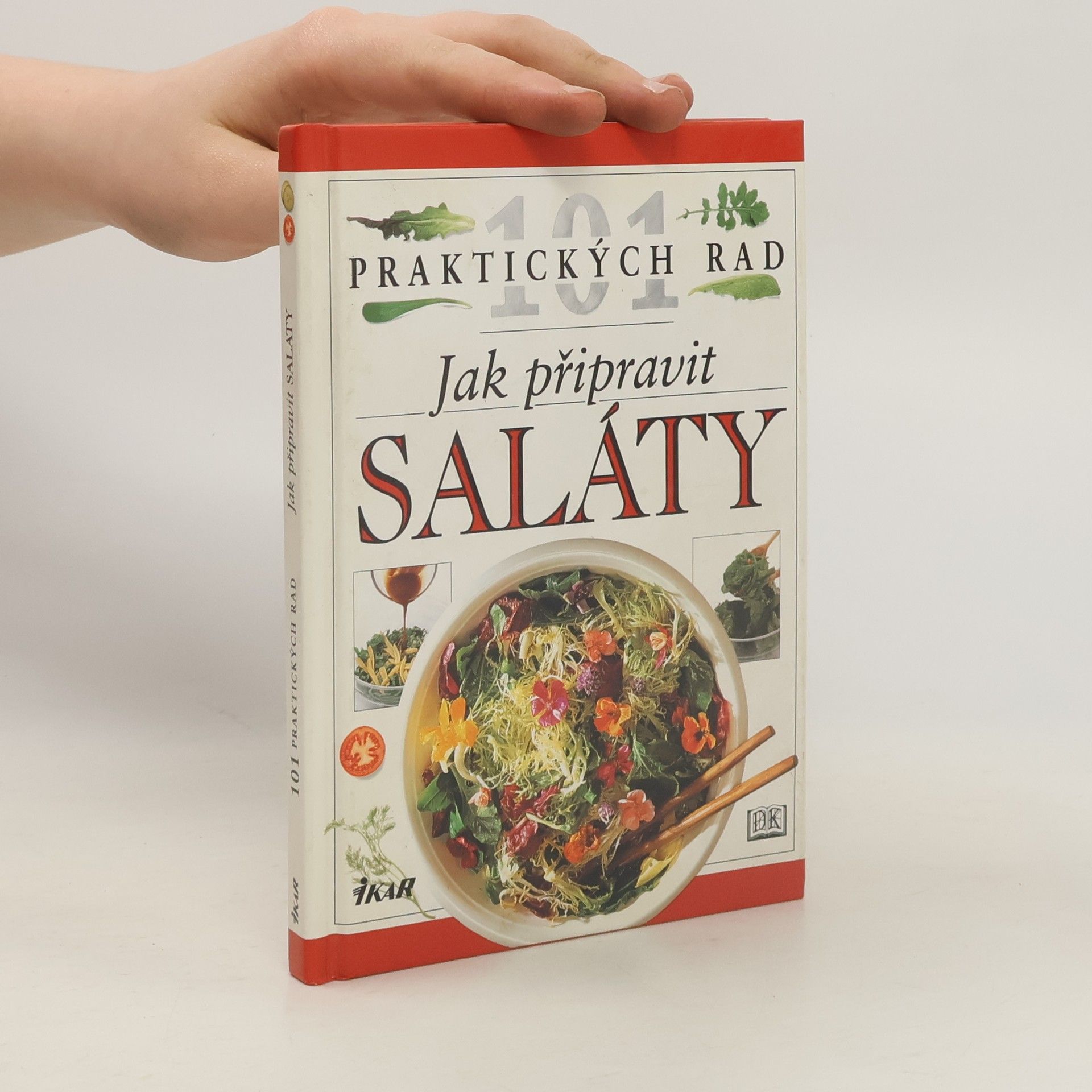 Anne Willan Jak připravit saláty