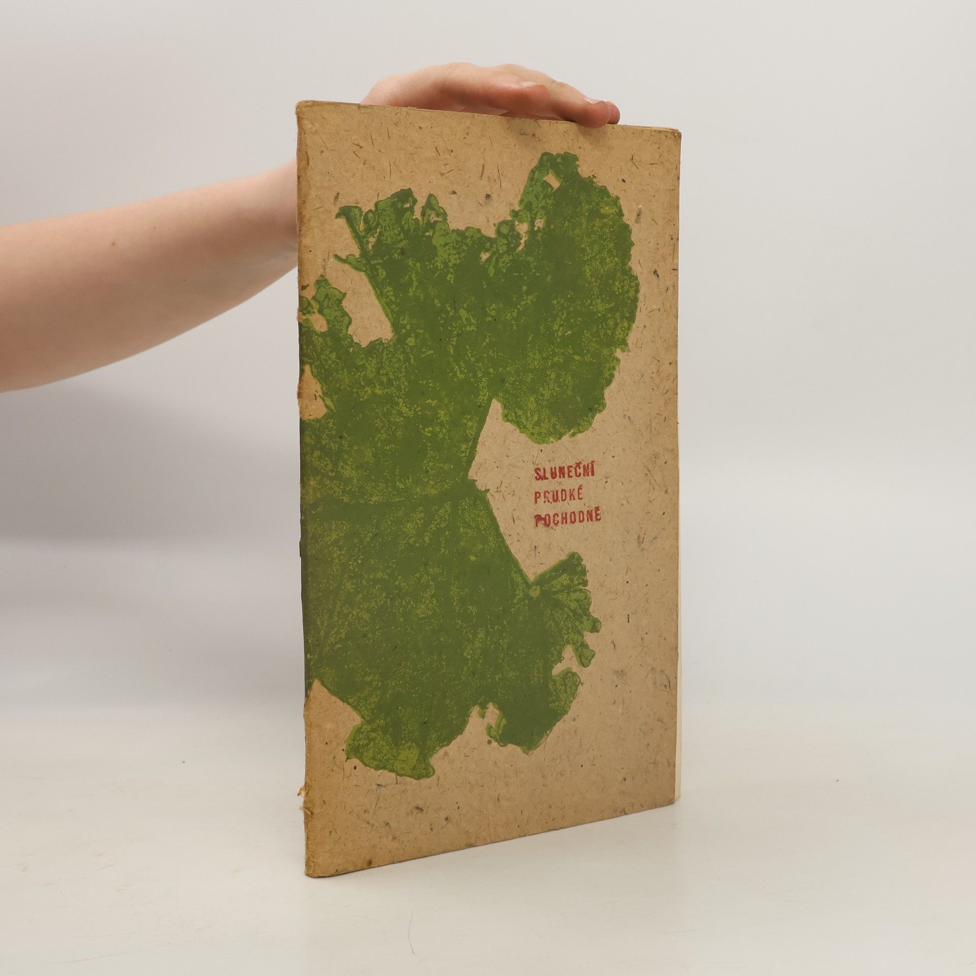 Jiří Valja Sluneční prudké pochodně