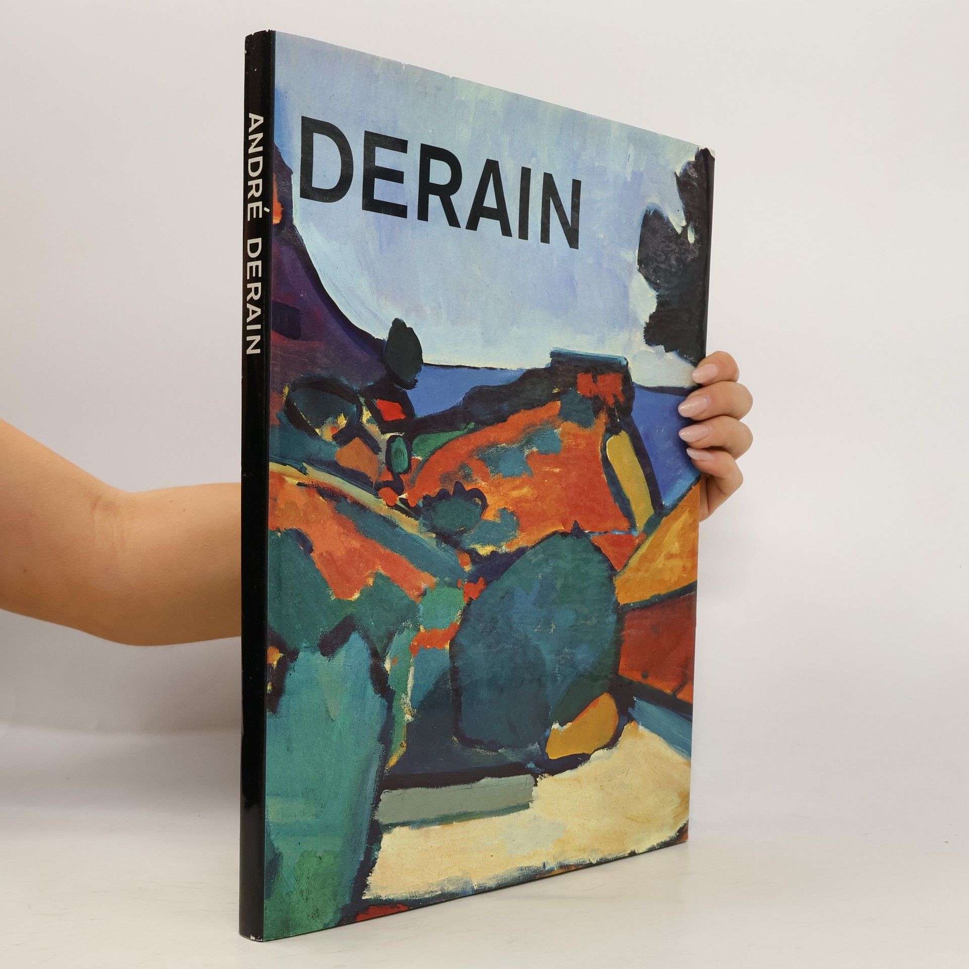 Kolektiv autorů André Derain