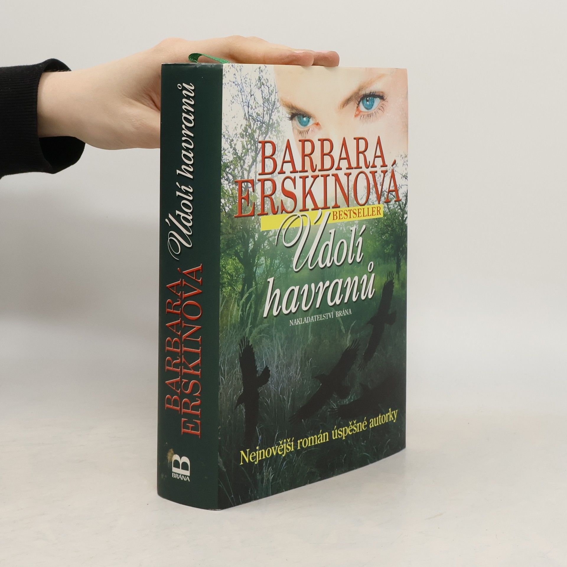 Barbara Erskinová Údolí havranů