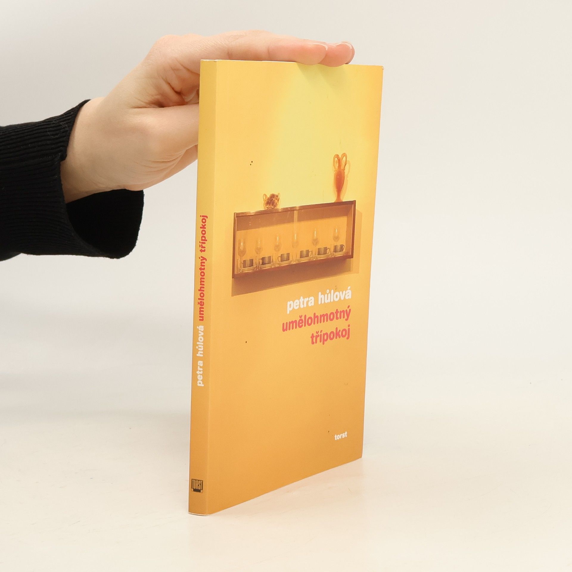 Petra Hůlová Umělohmotný třípokoj